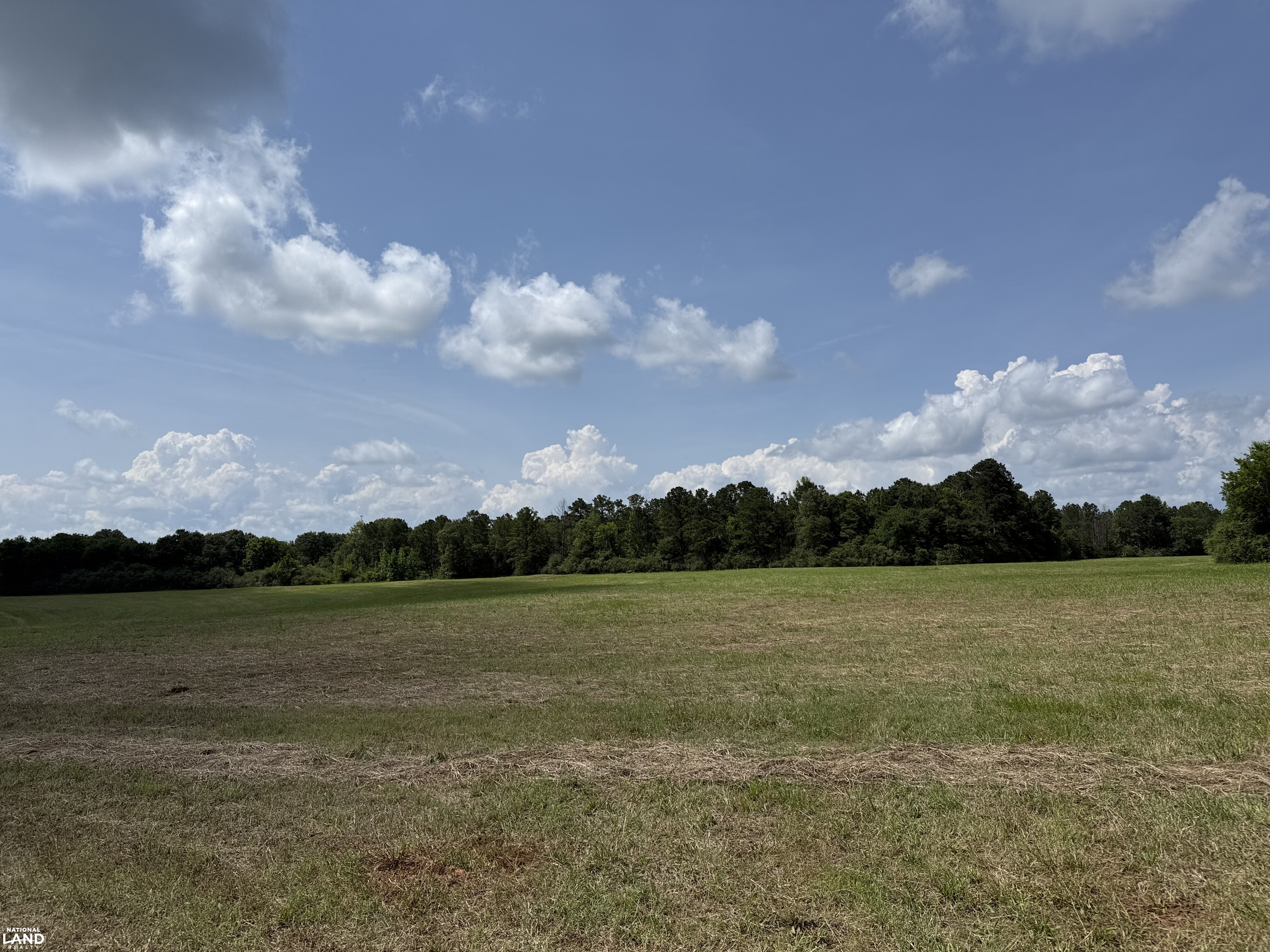 Moundville Mini Farms in Hale County, AL (1 of 9)