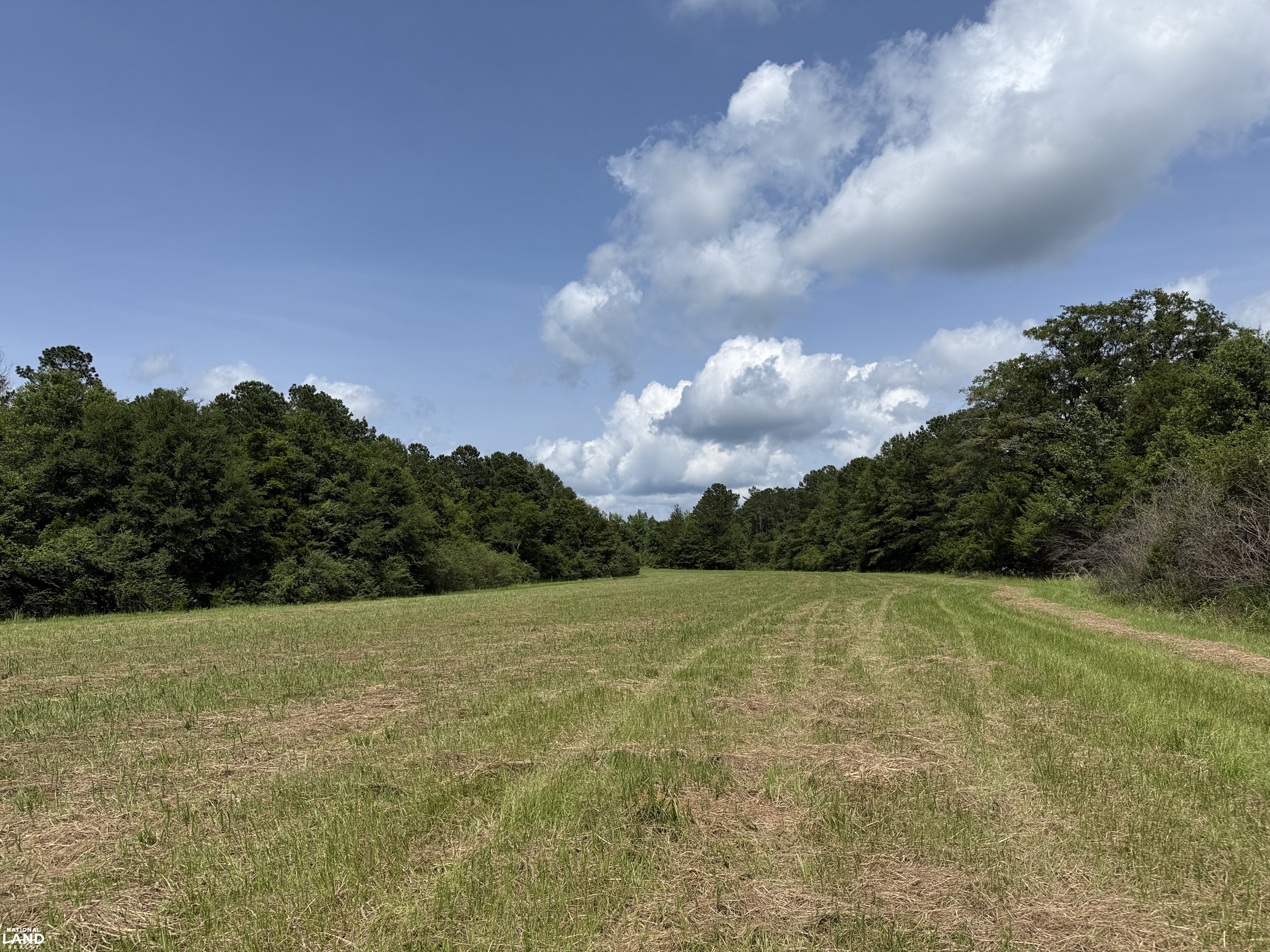 Moundville Mini Farms in Hale County, AL (2 of 9)