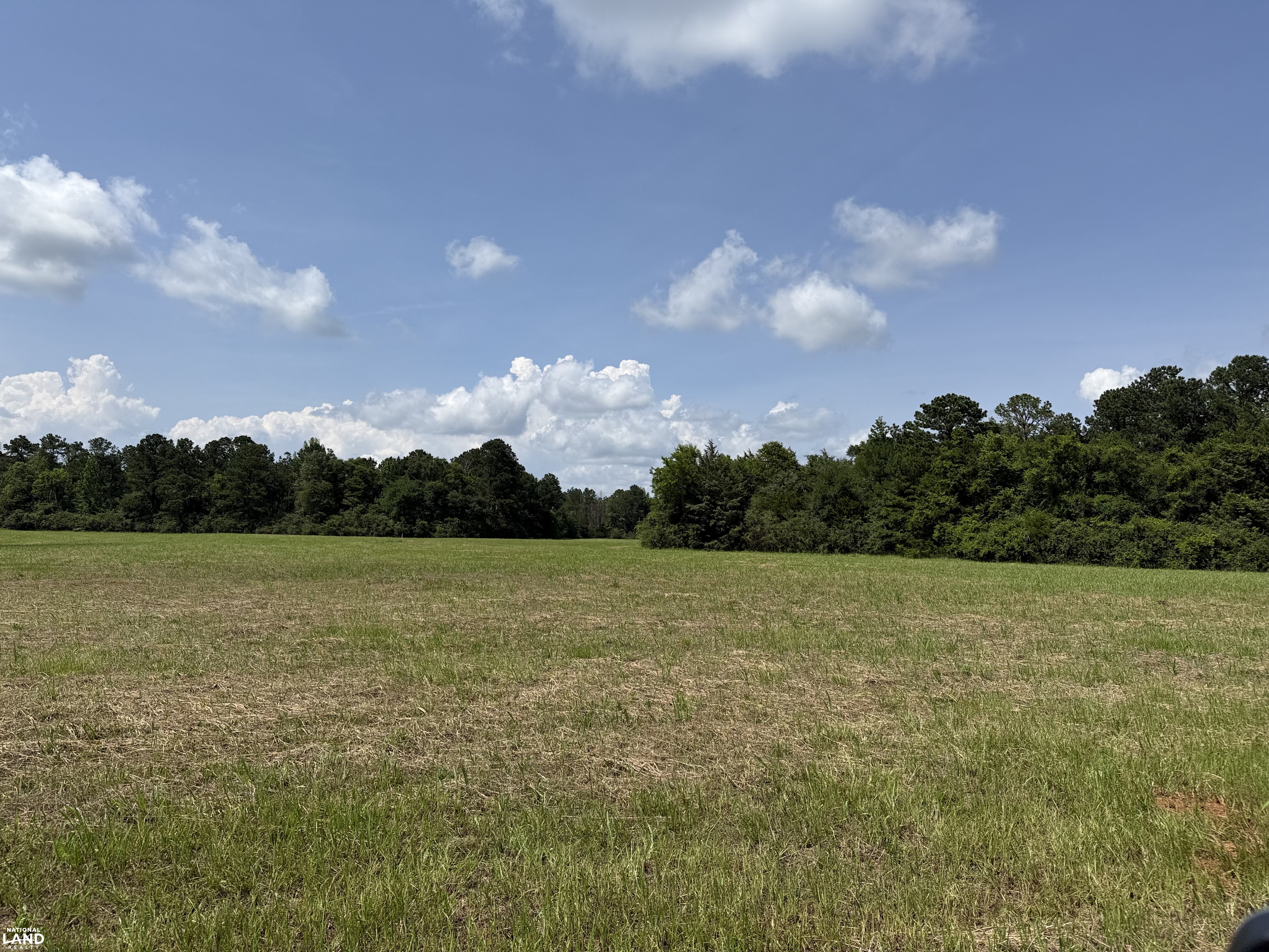 Moundville Mini Farms in Hale County, AL (3 of 9)