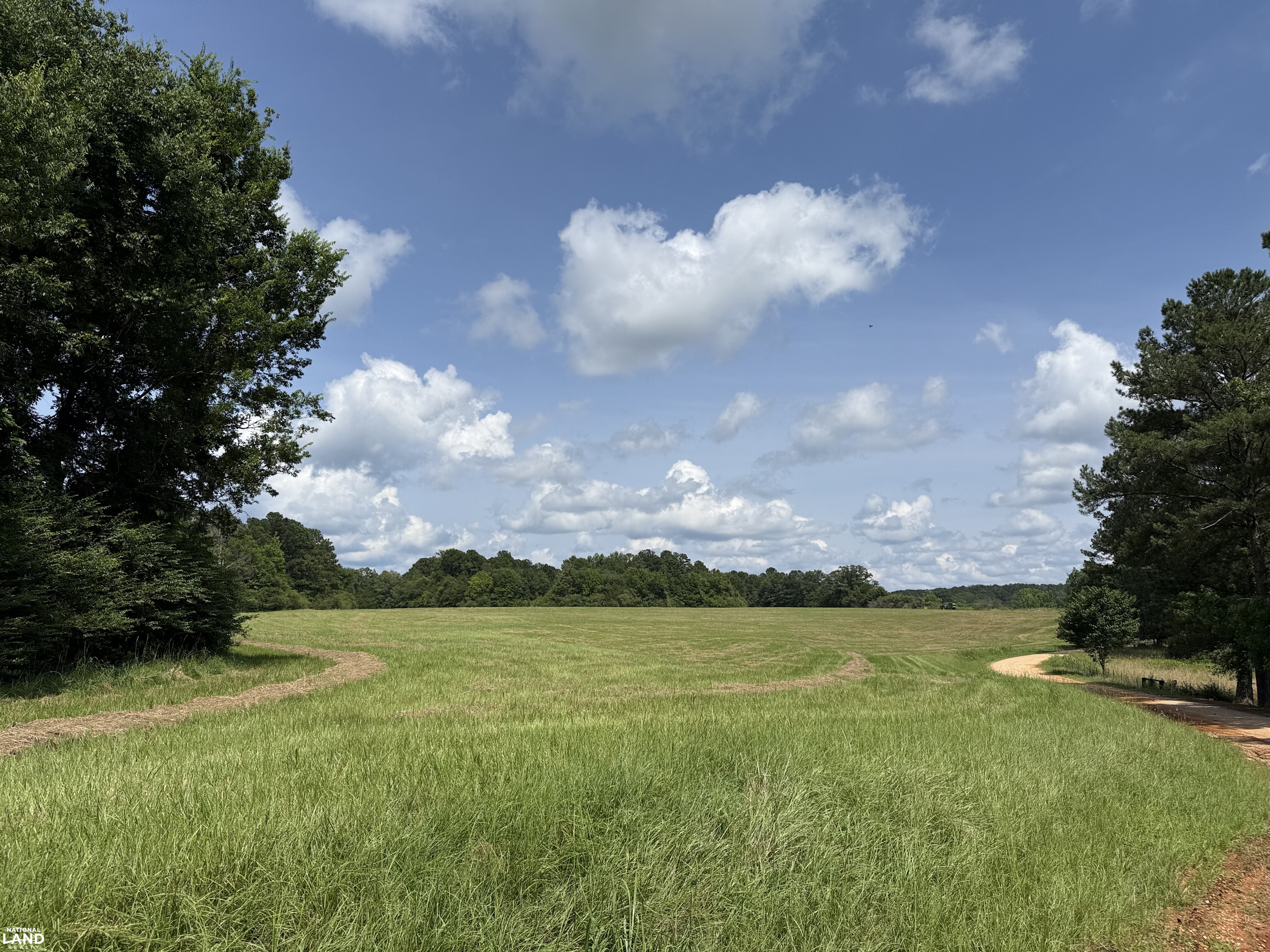 Moundville Mini Farms in Hale County, AL (4 of 9)
