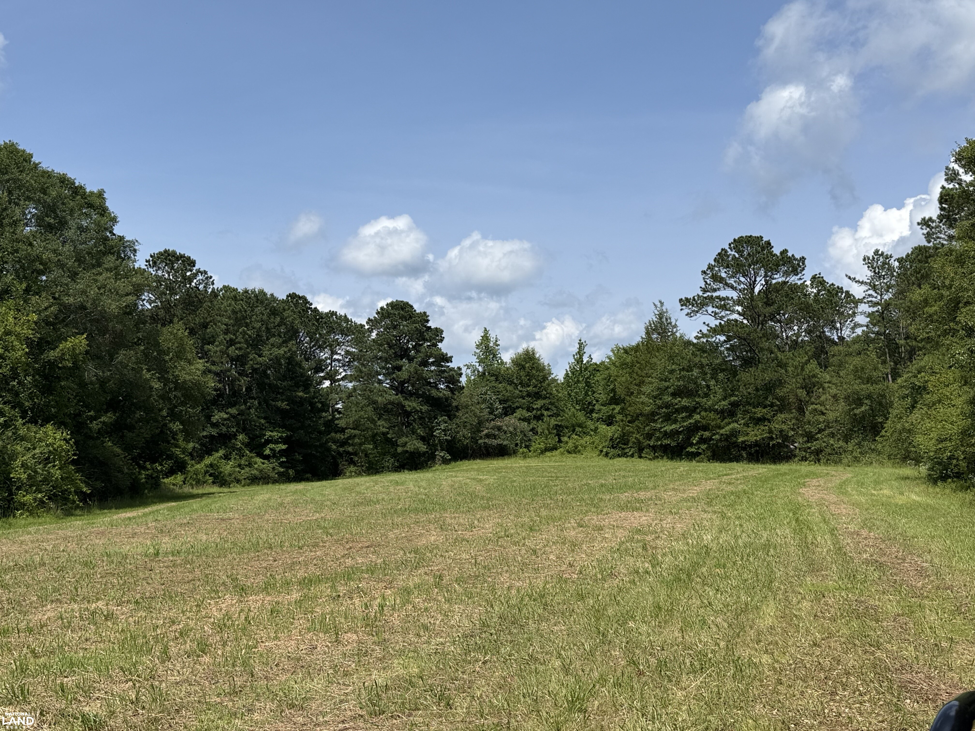 Moundville Mini Farms in Hale County, AL (5 of 9)