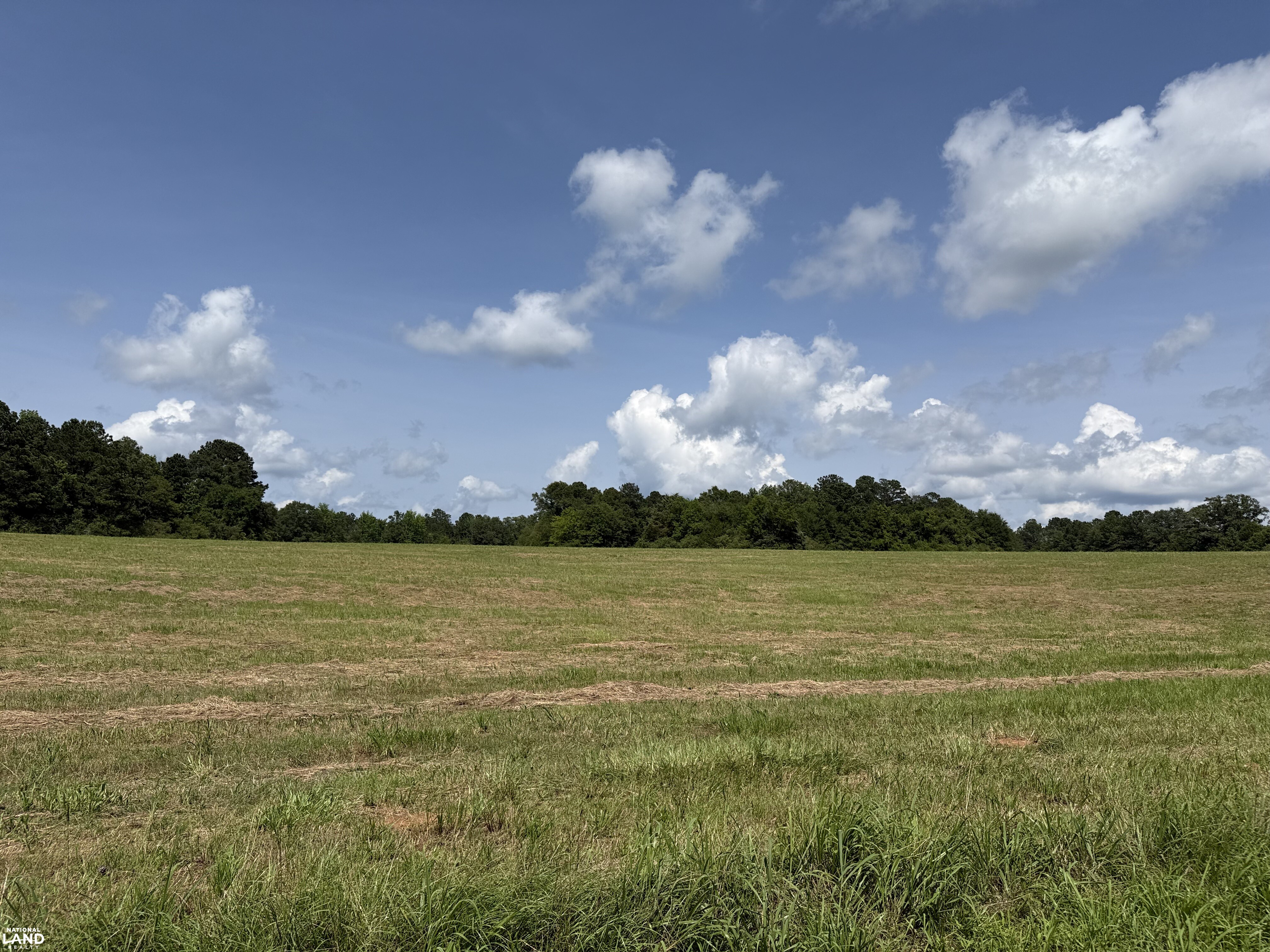 Moundville Mini Farms in Hale County, AL (6 of 9)