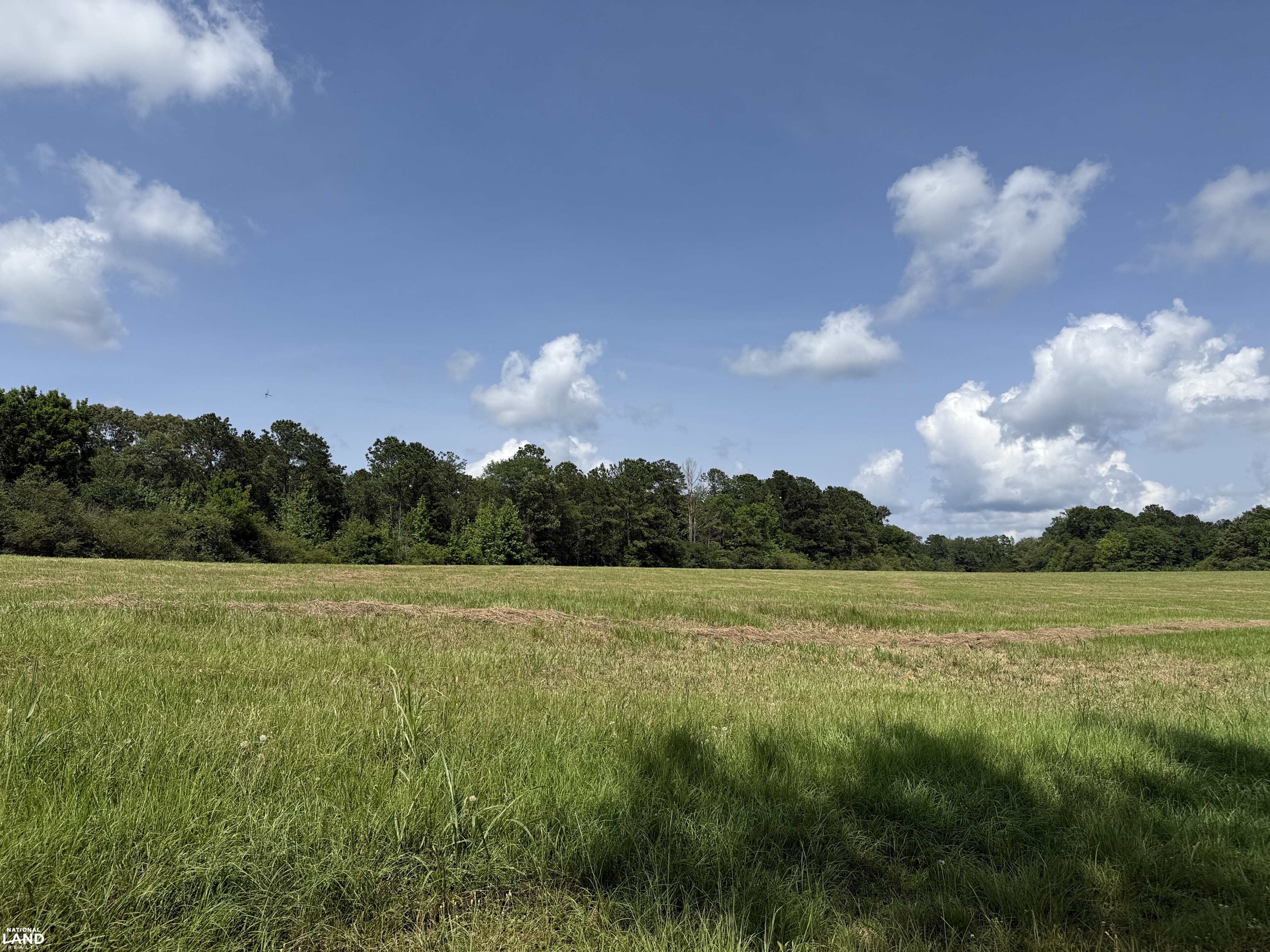 Moundville Mini Farms in Hale County, AL (7 of 9)