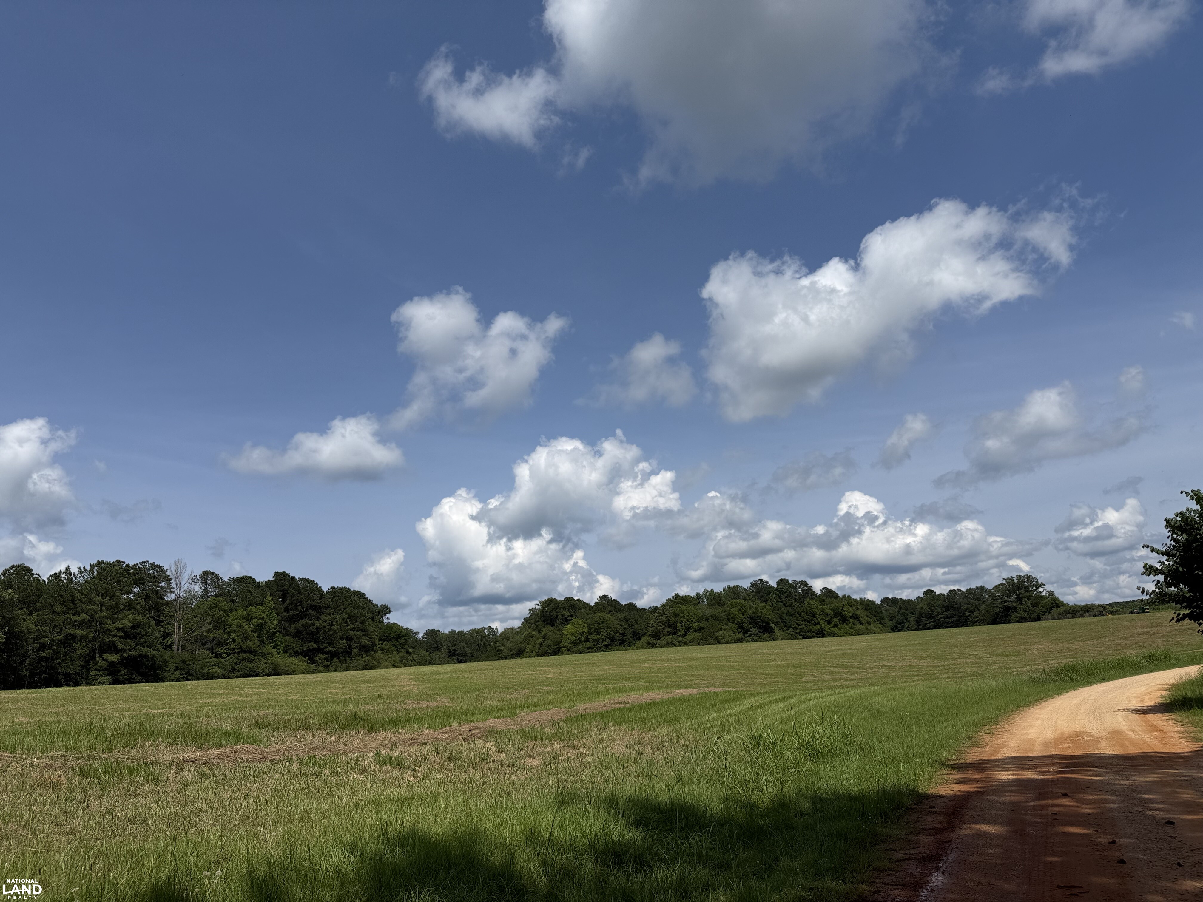 Moundville Mini Farms in Hale County, AL (8 of 9)