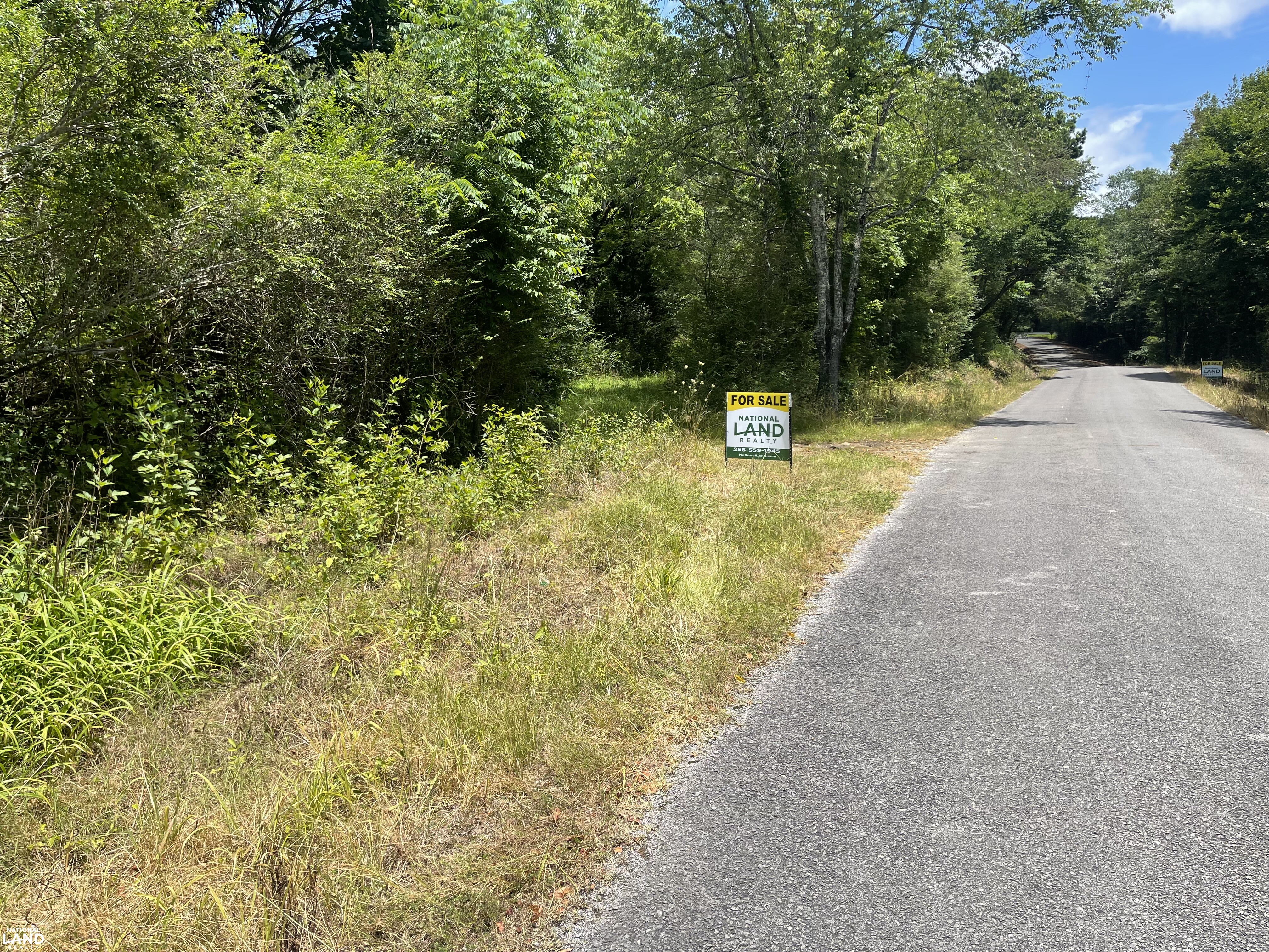 Mulberry River CR 648 Hancville in Cullman County, AL (1 of 42)