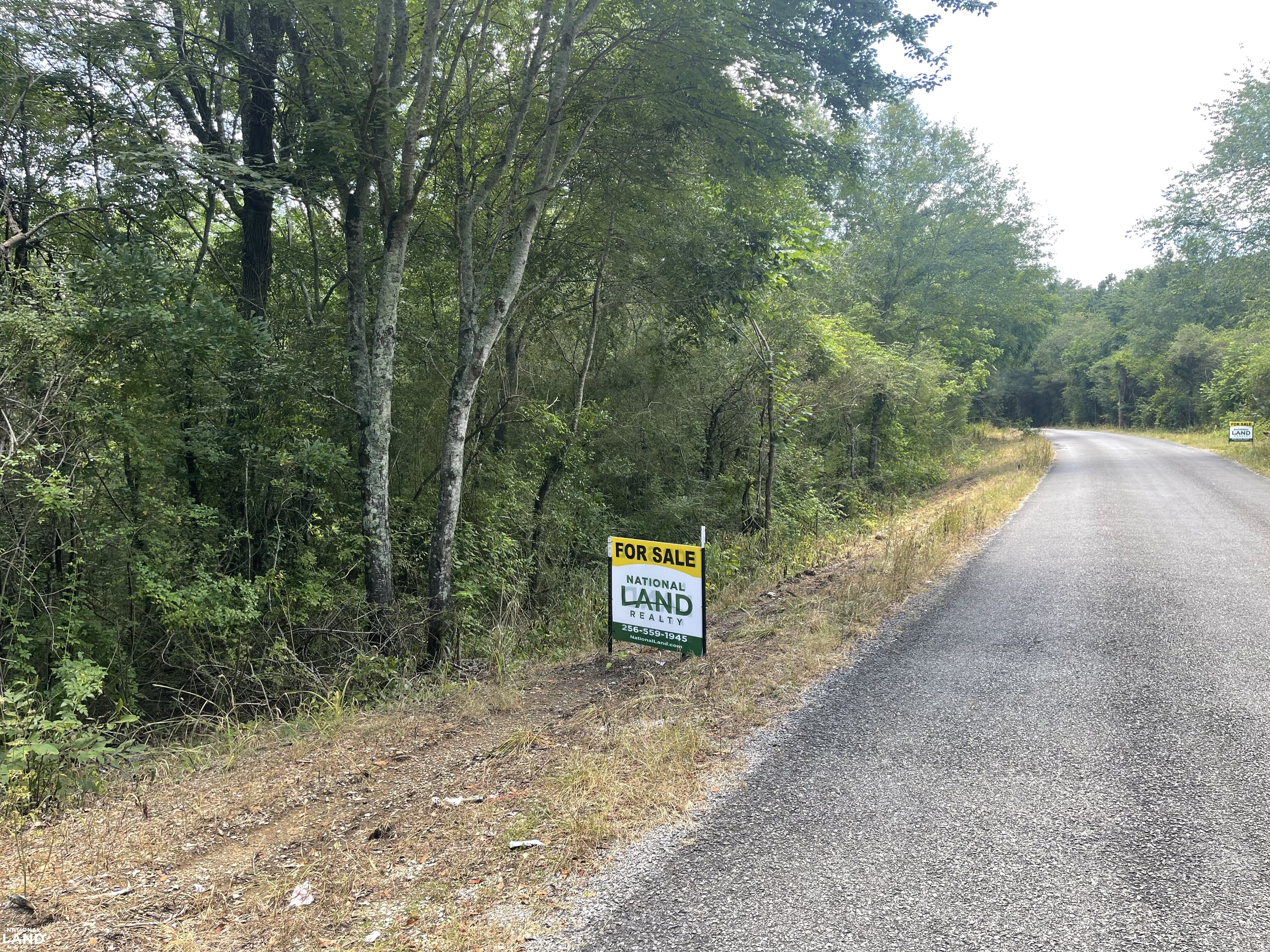 Mulberry River CR 648 Hancville in Cullman County, AL (2 of 42)