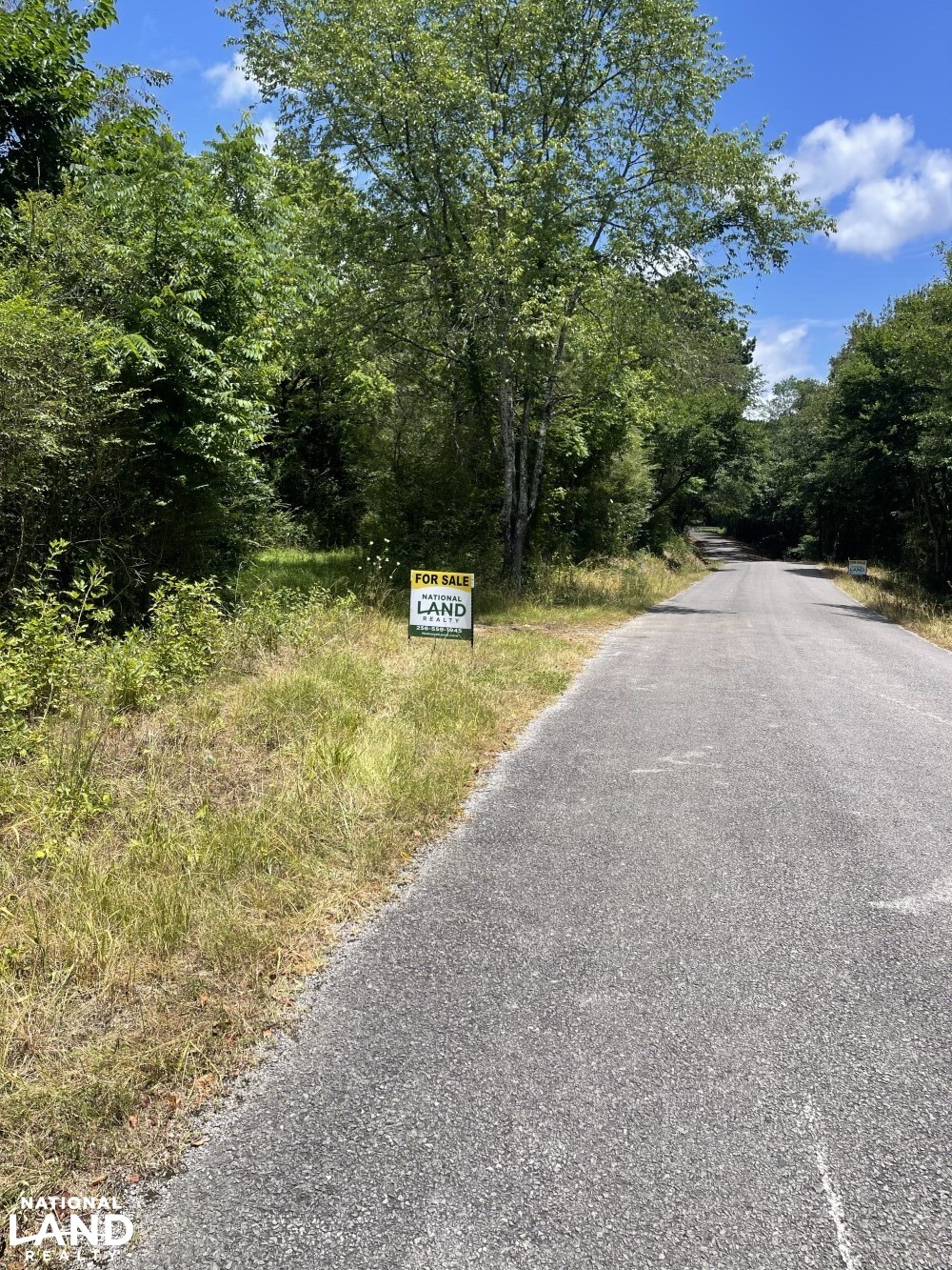 Mulberry River CR 648 Hancville in Cullman County, AL (3 of 42)