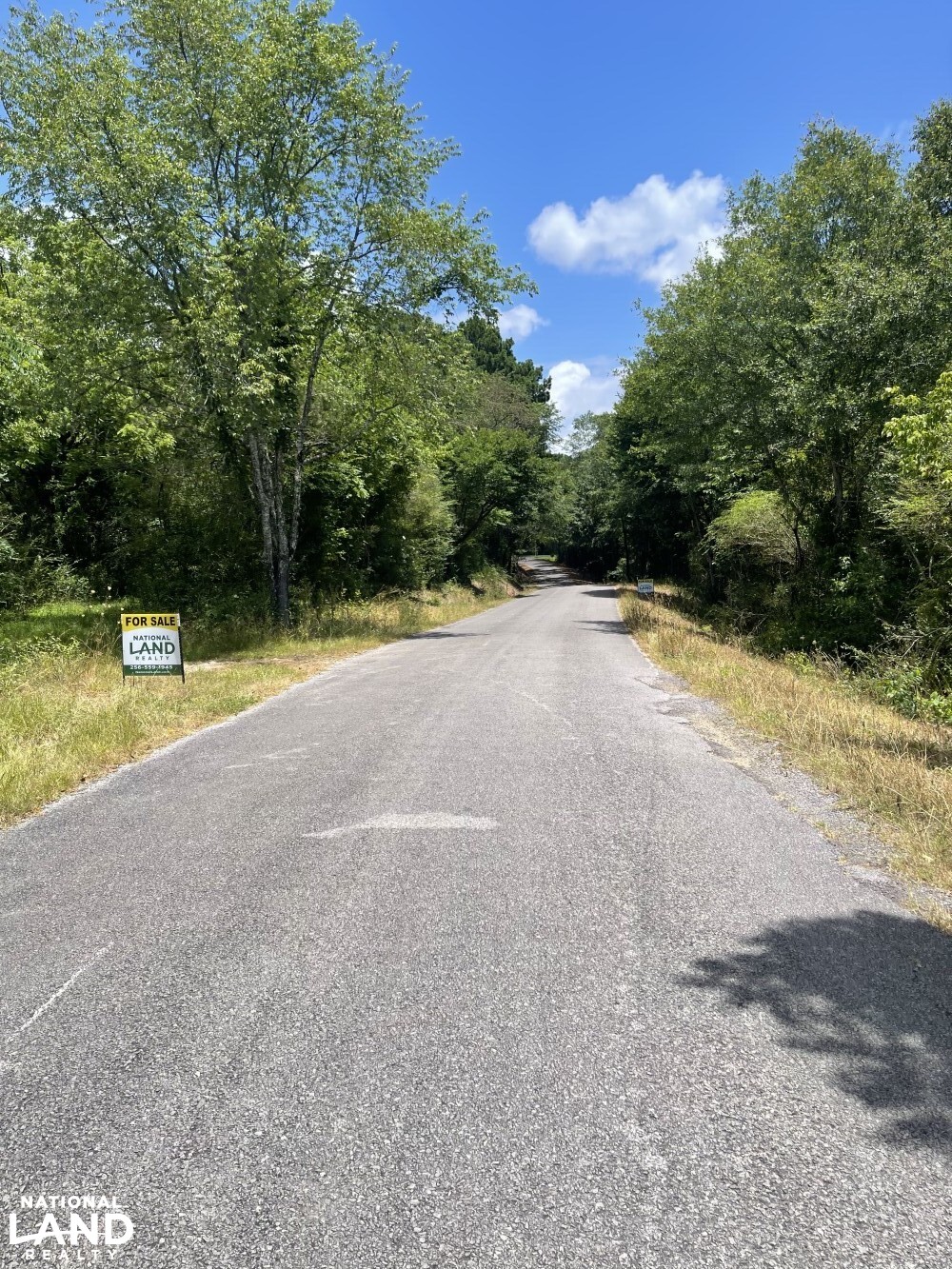 Mulberry River CR 648 Hancville in Cullman County, AL (5 of 42)