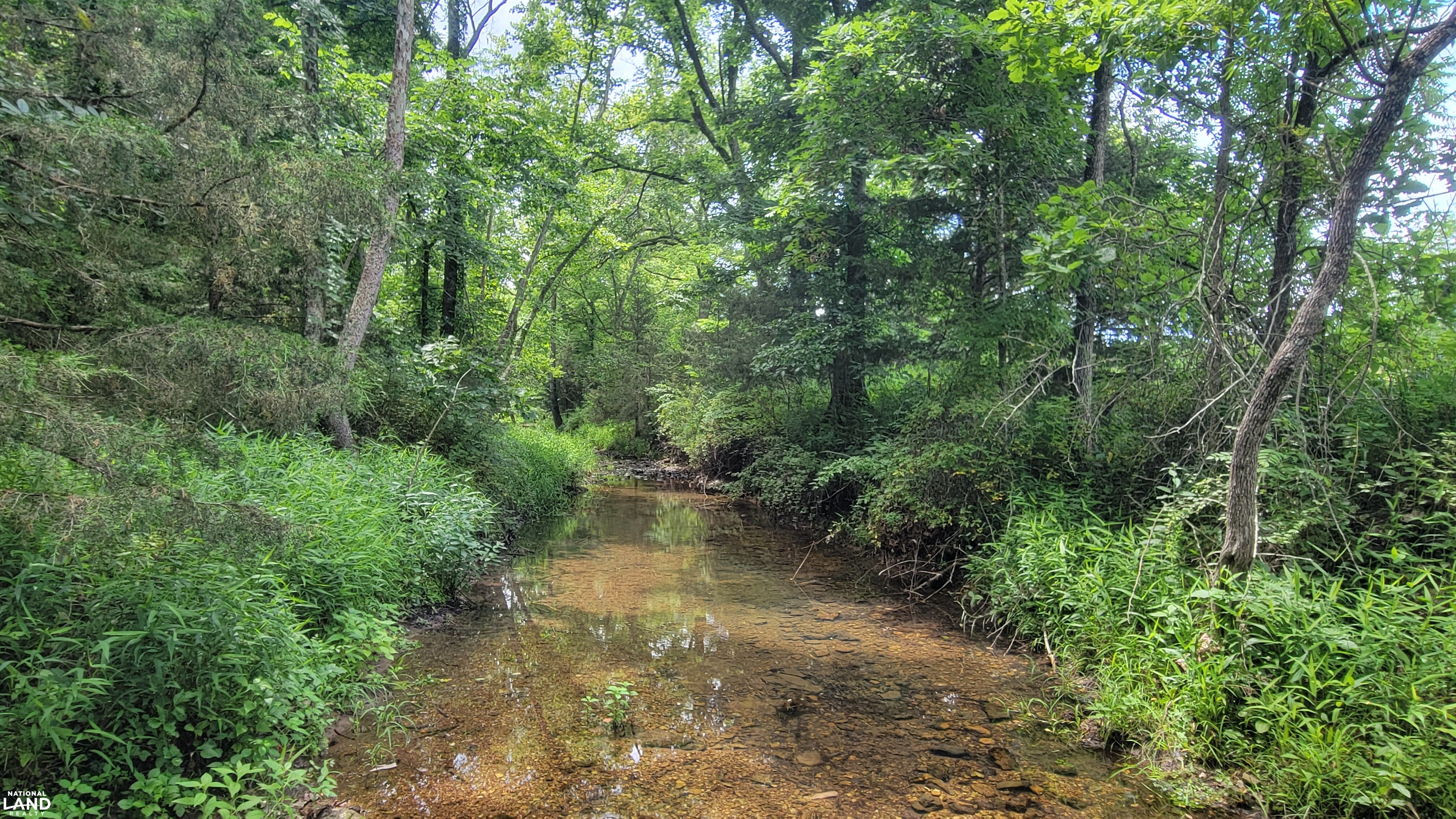 Vacant Land at Truman Lake in Benton County, MO (13 of 21)