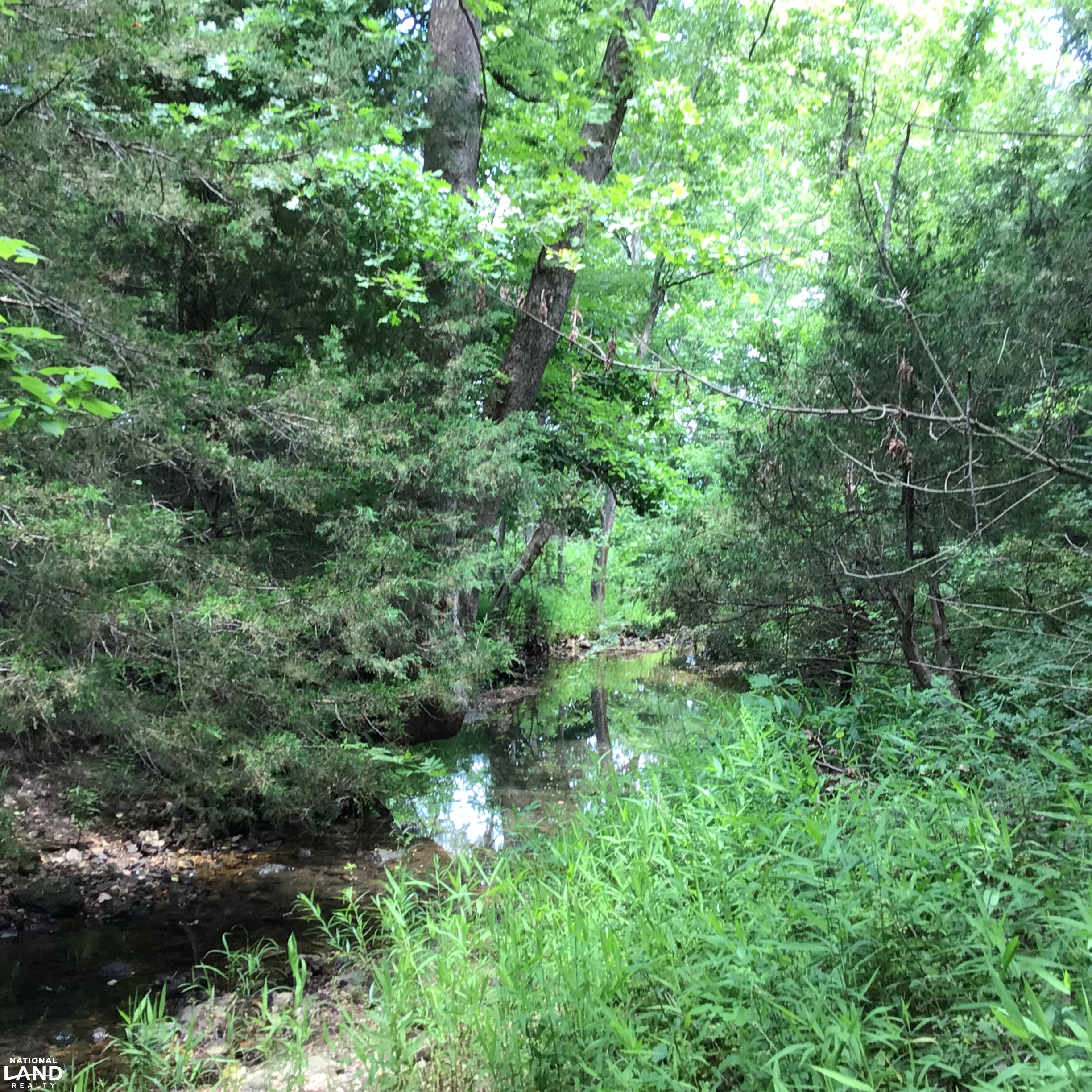 Vacant Land at Truman Lake in Benton County, MO (15 of 21)