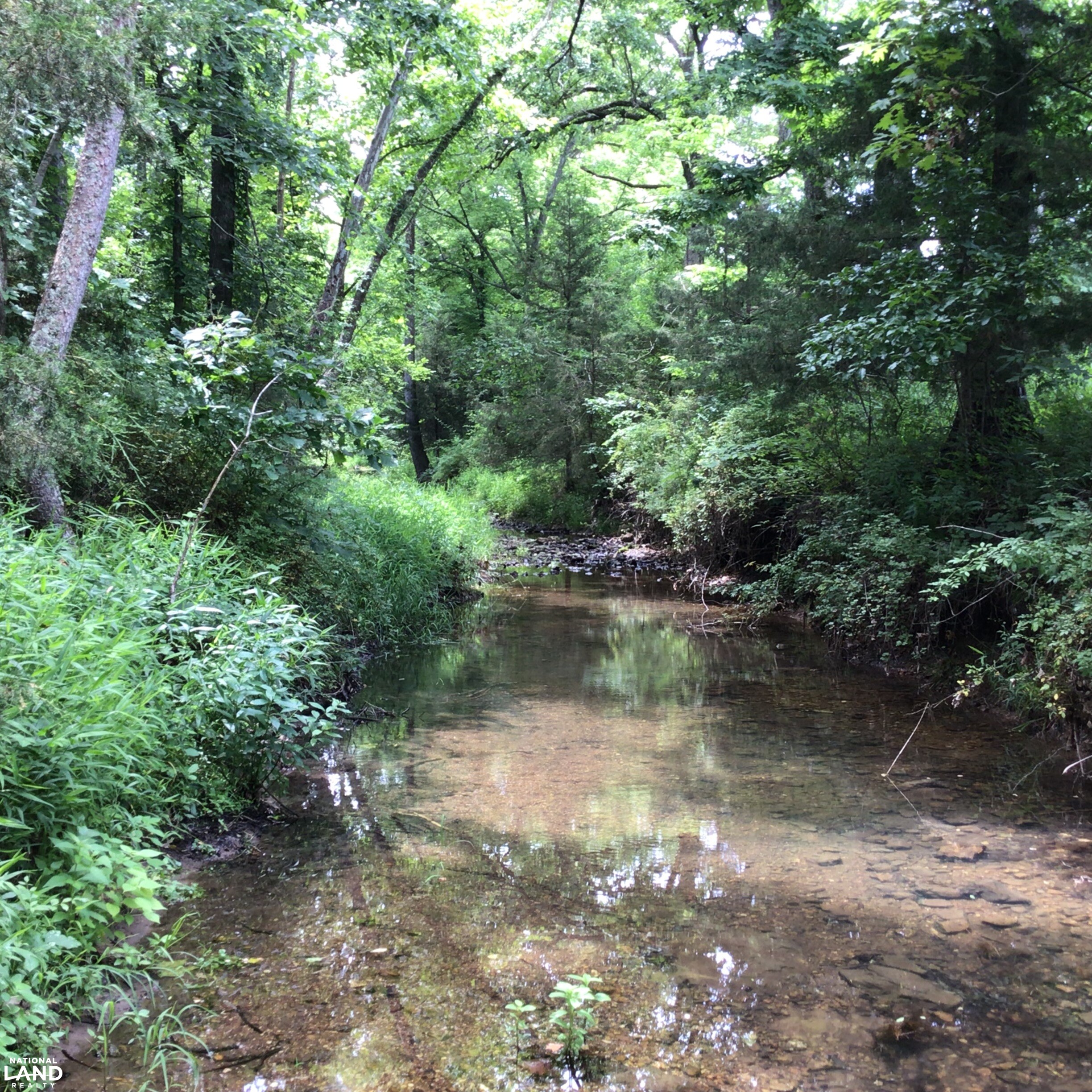 Vacant Land at Truman Lake in Benton County, MO (16 of 21)