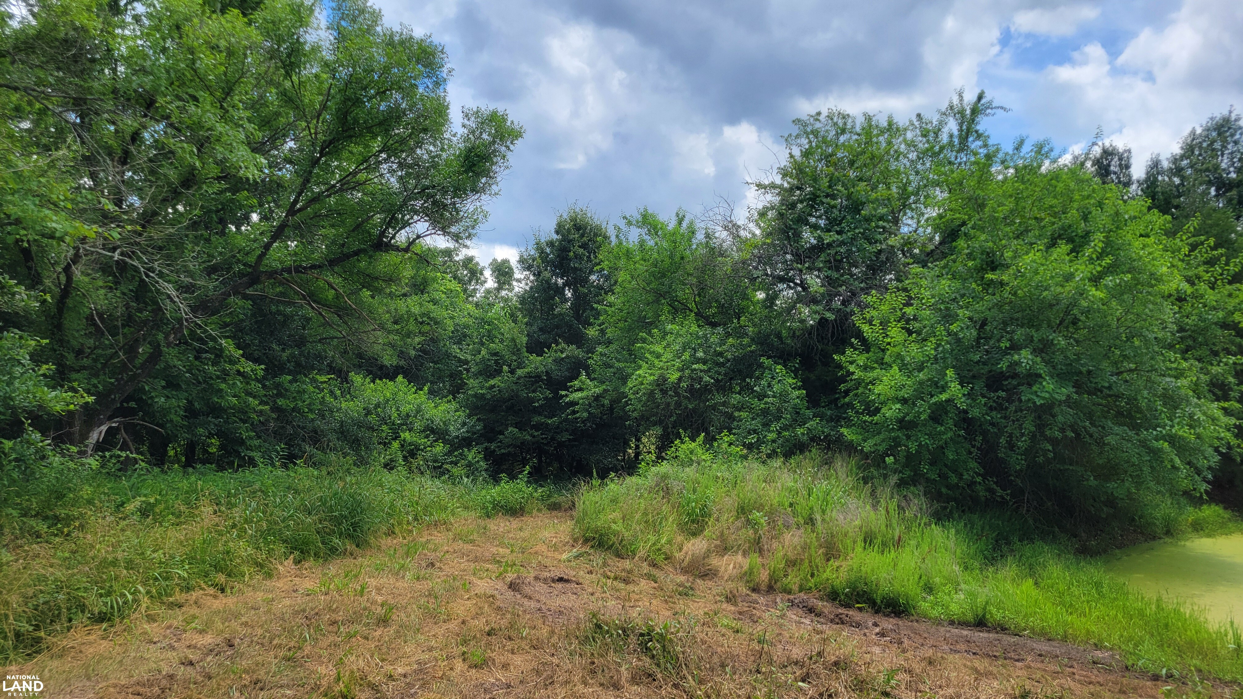 Vacant Land at Truman Lake in Benton County, MO (17 of 21)