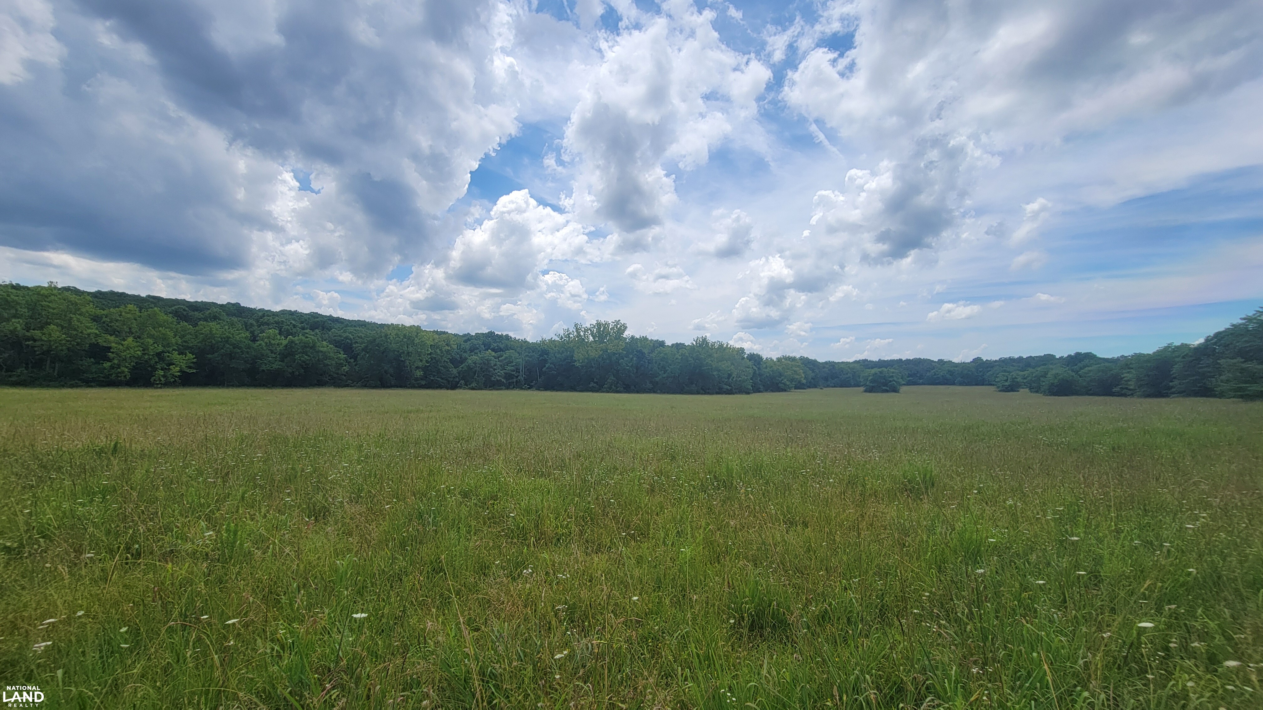 Vacant Land at Truman Lake in Benton County, MO (18 of 21)