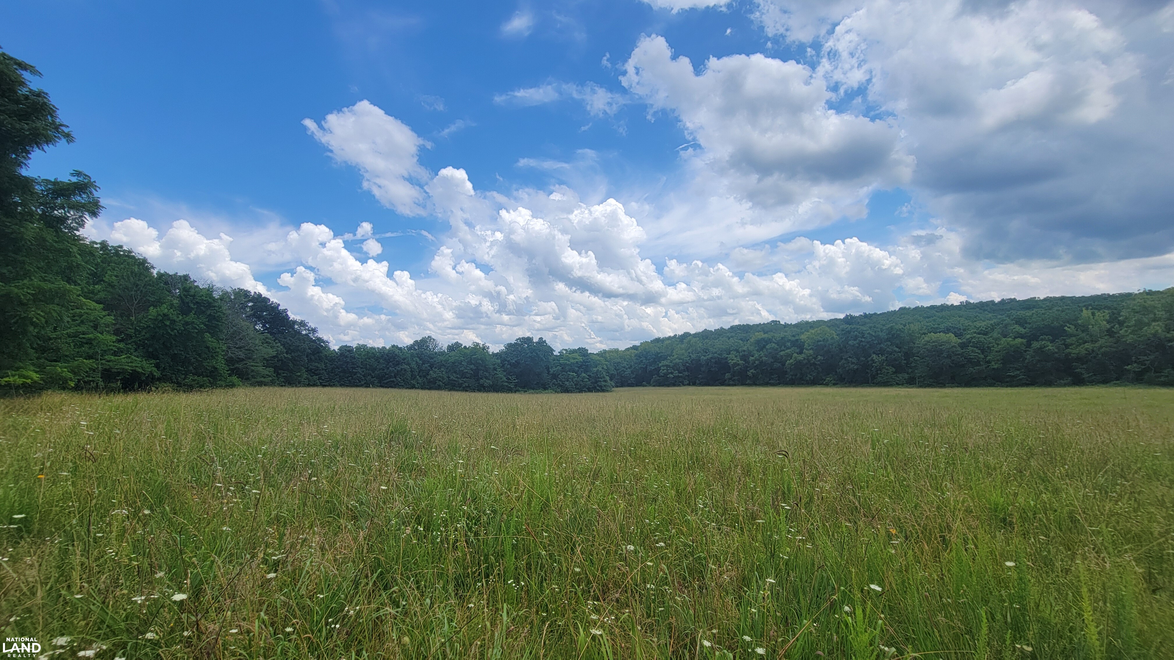 Vacant Land at Truman Lake in Benton County, MO (19 of 21)