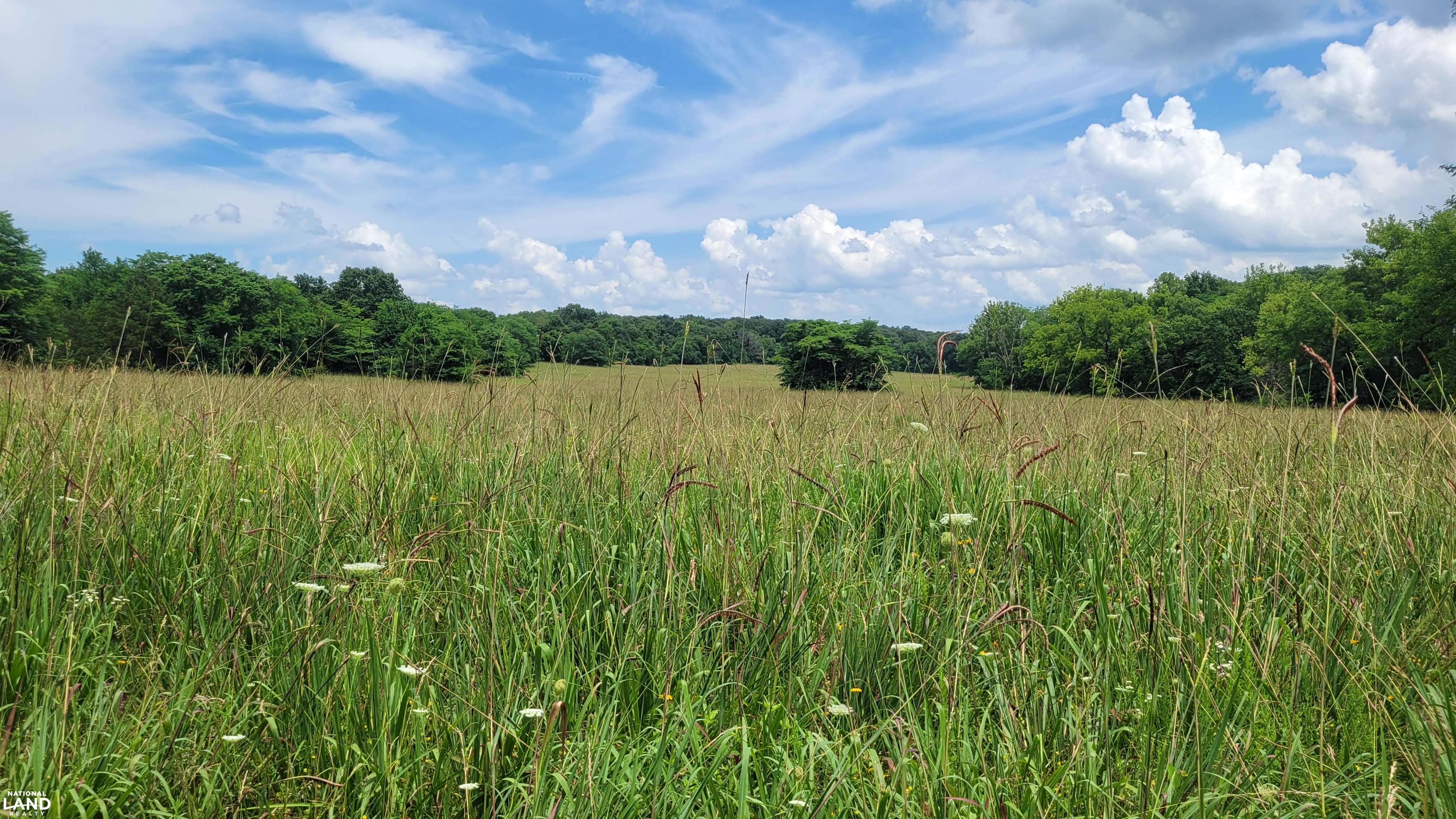 Vacant Land at Truman Lake in Benton County, MO (20 of 21)