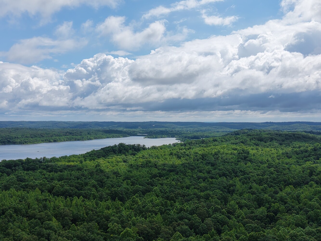 Land for Sale in Benton County, TN (1 of 22)