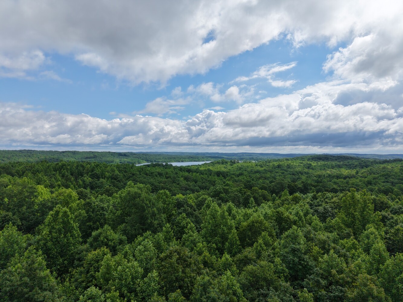 Land for Sale in Benton County, TN (2 of 22)