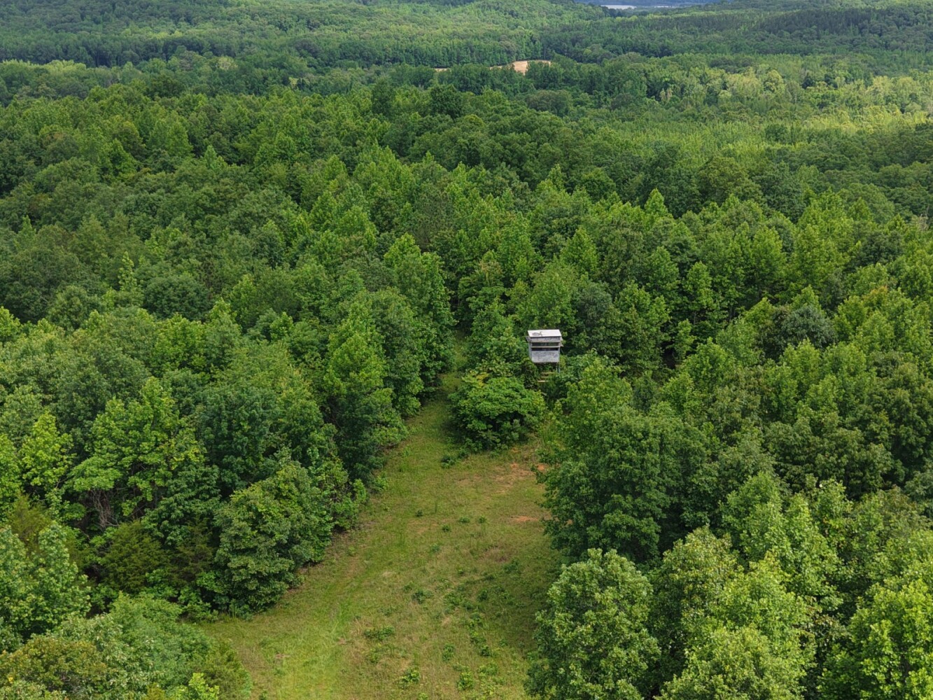 Land for Sale in Benton County, TN (3 of 22)