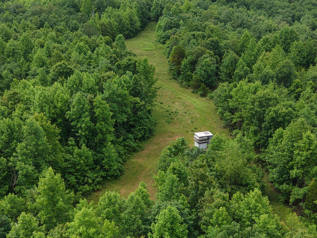 Land for Sale in Benton County, TN (5 of 22)