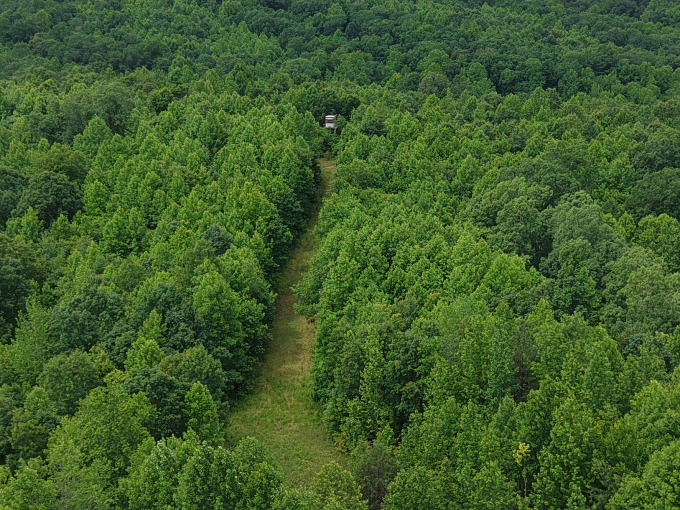 Land for Sale in Benton County, TN (7 of 22)