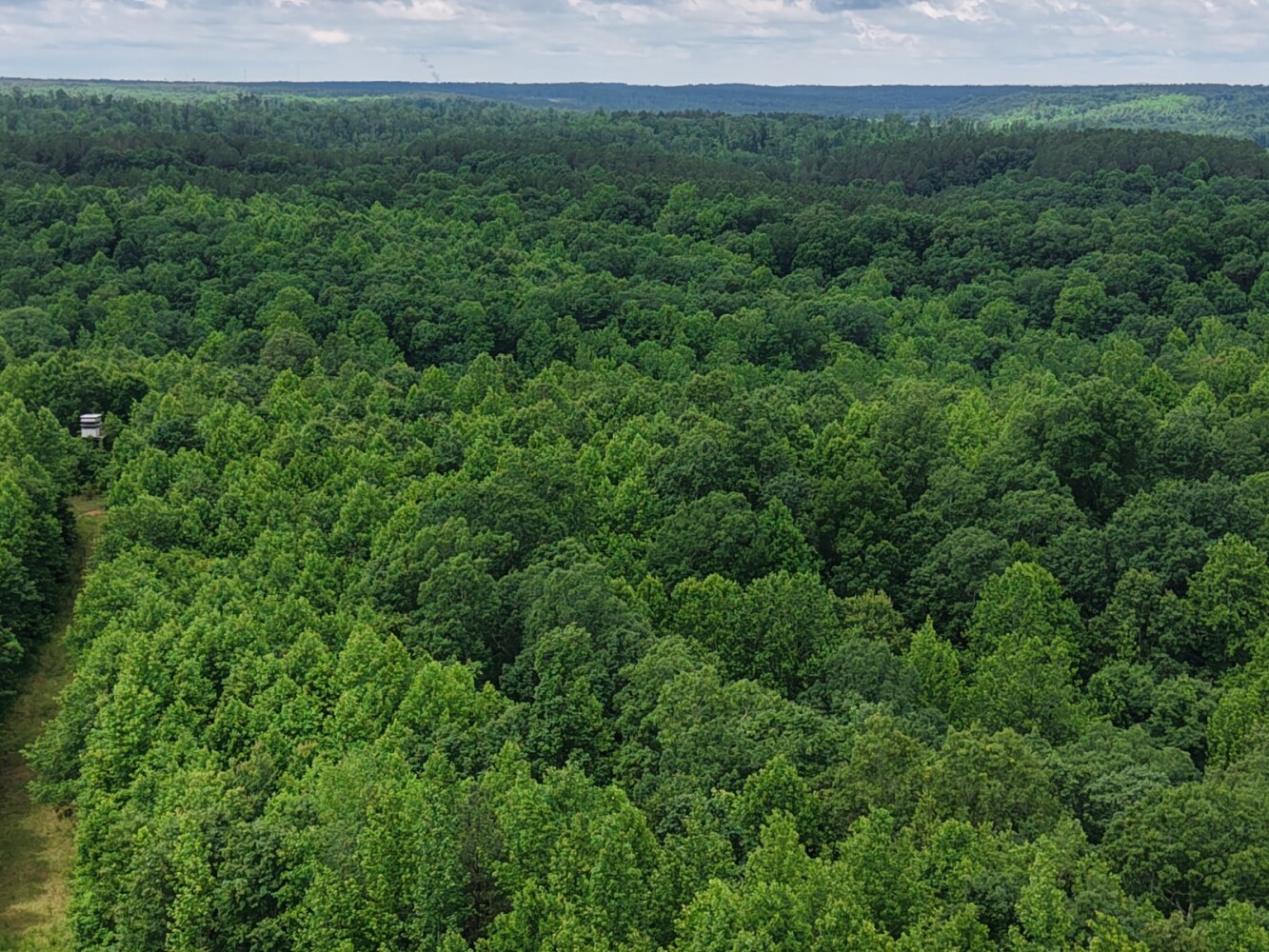 Land for Sale in Benton County, TN (8 of 22)