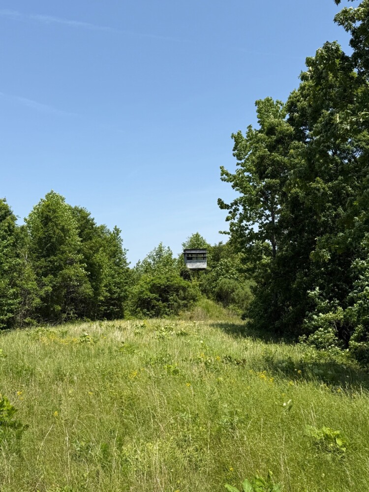 Land for Sale in Benton County, TN (9 of 22)