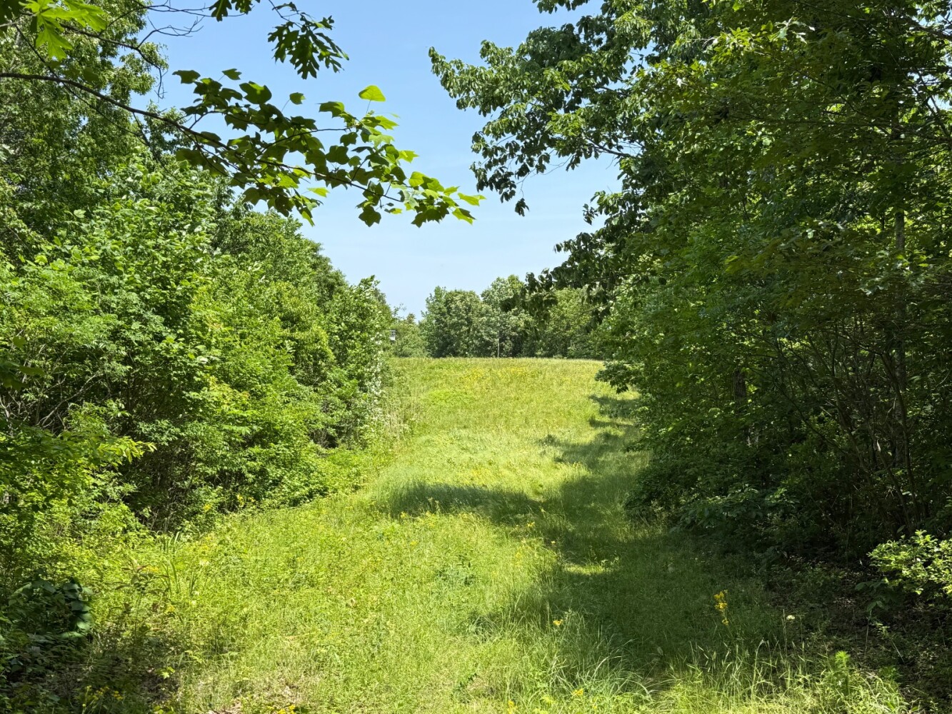 Land for Sale in Benton County, TN (10 of 22)