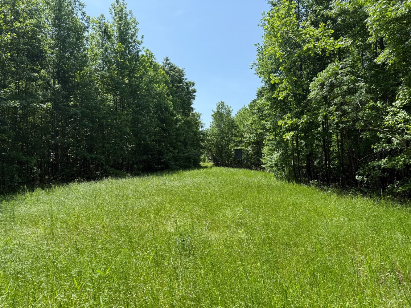 Land for Sale in Benton County, TN (14 of 22)