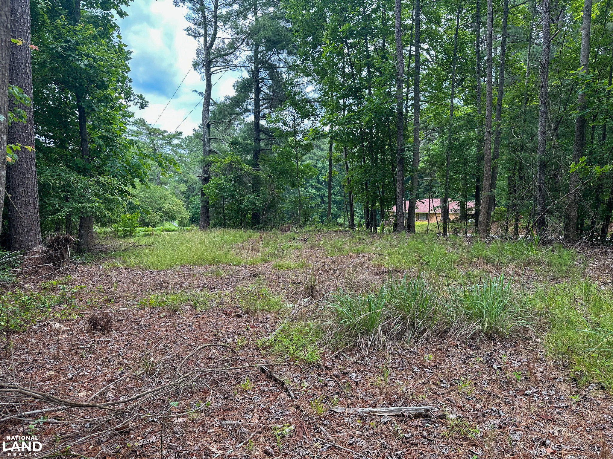 John Emerson Road in Chatham County, NC (8 of 26)