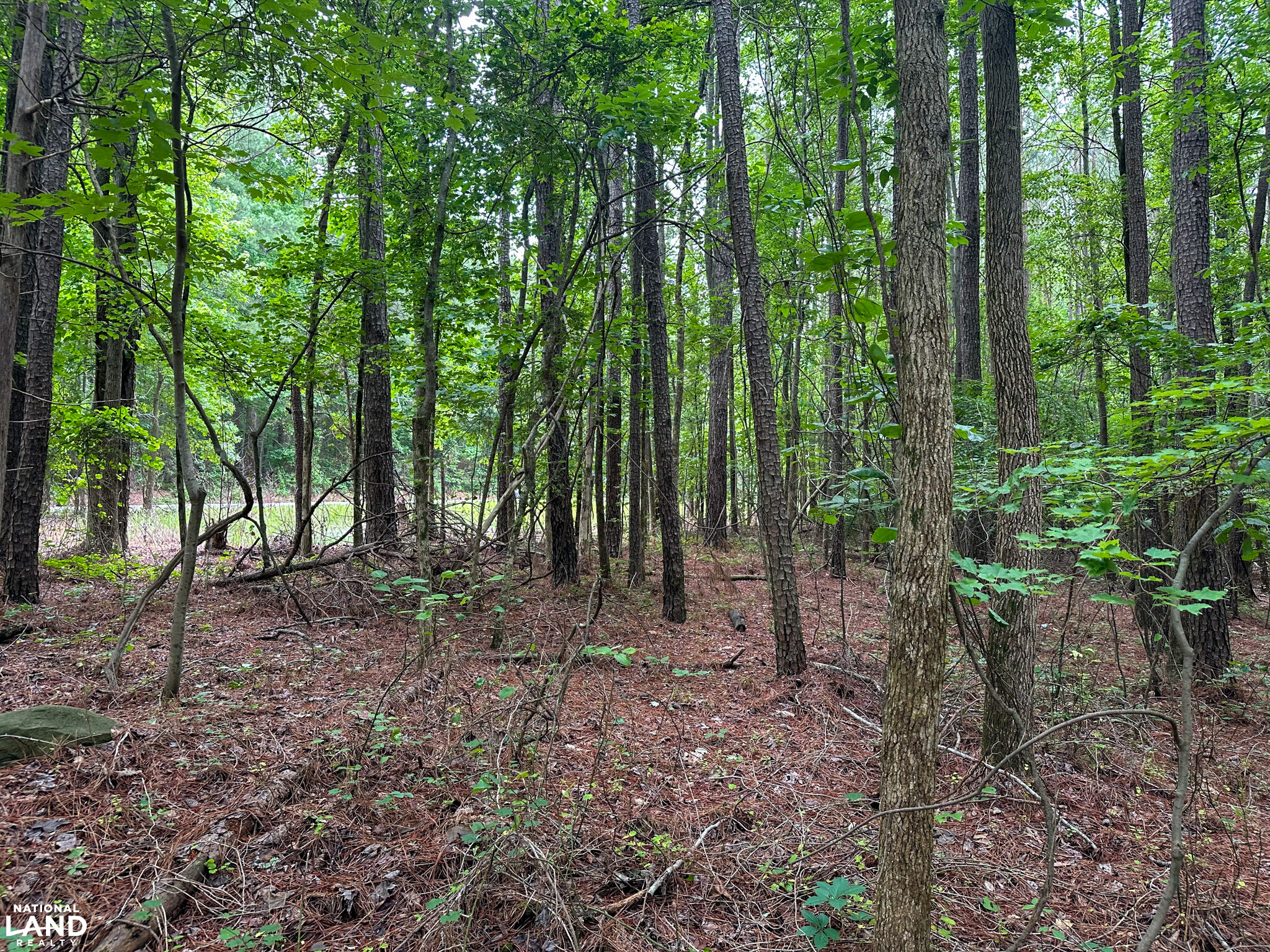 John Emerson Road in Chatham County, NC (10 of 26)