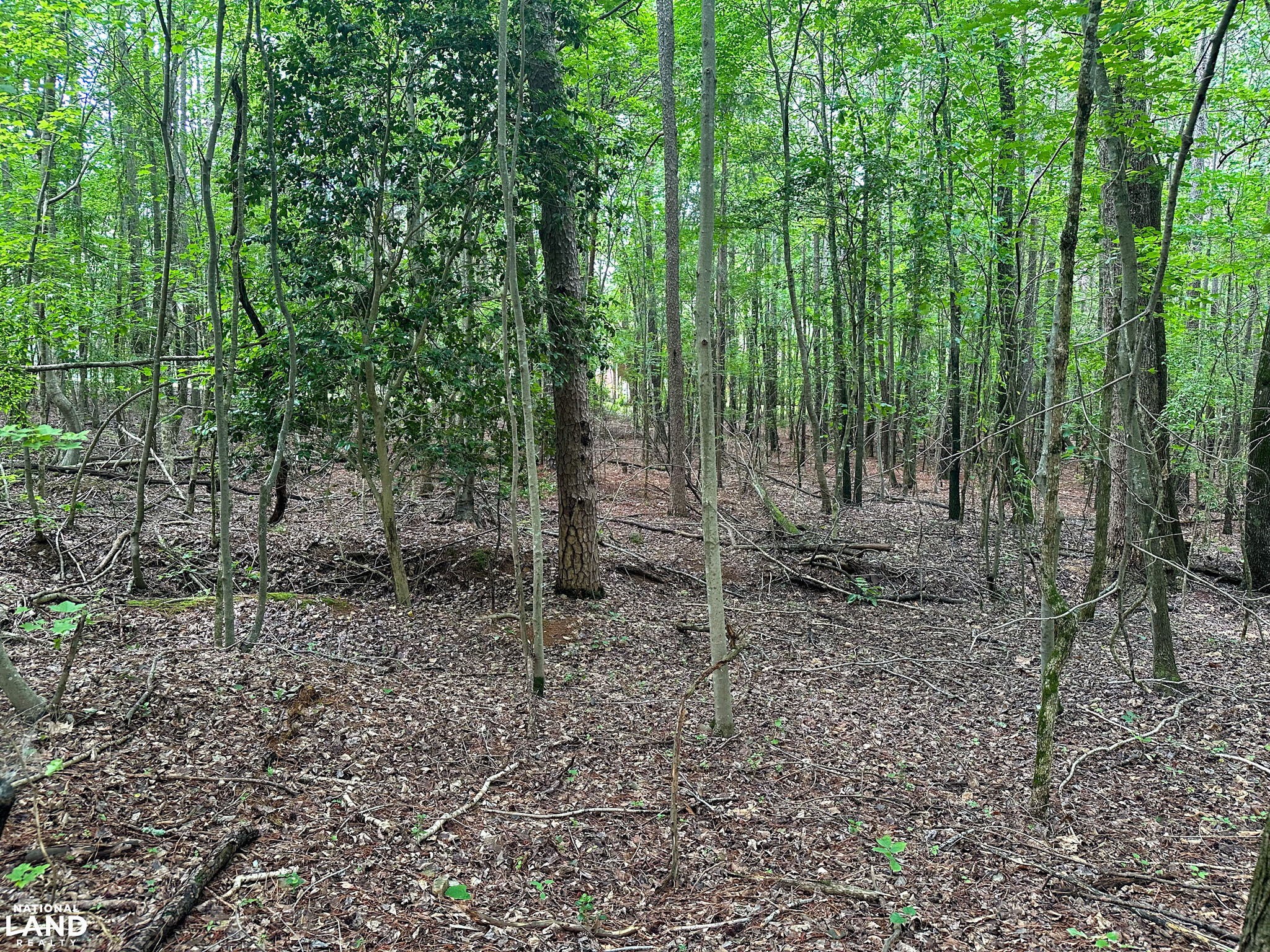 John Emerson Road in Chatham County, NC (17 of 26)