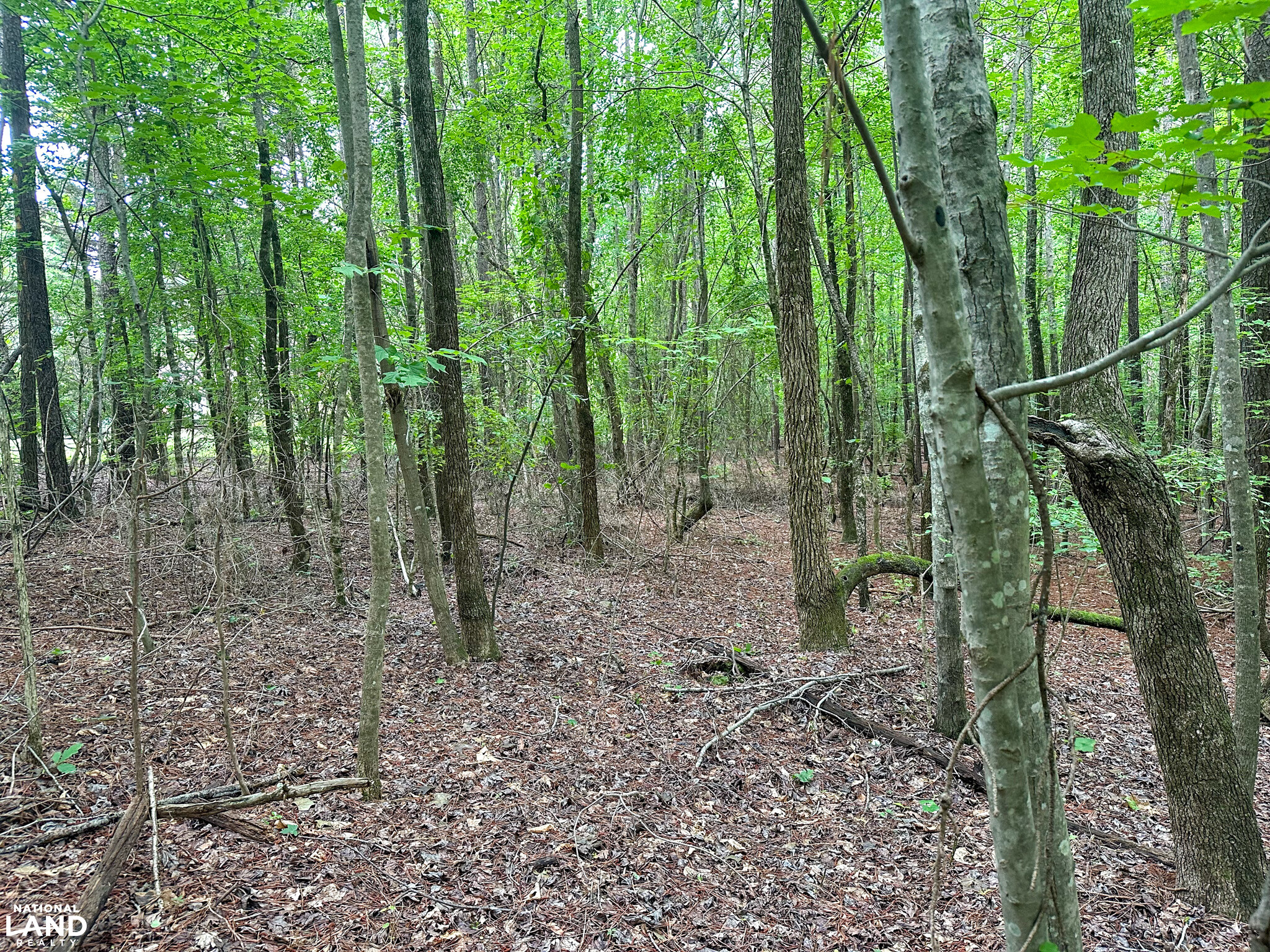 John Emerson Road in Chatham County, NC (18 of 26)