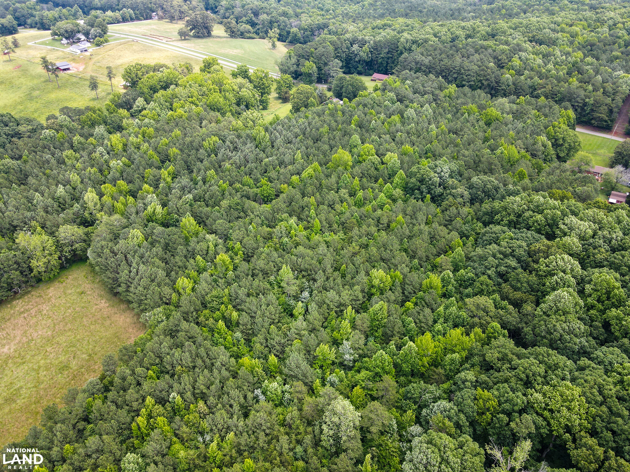 John Emerson Road in Chatham County, NC (25 of 26)