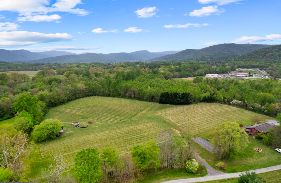 Established Winery And Estate in Rappahannock County, VA (4 of 27)