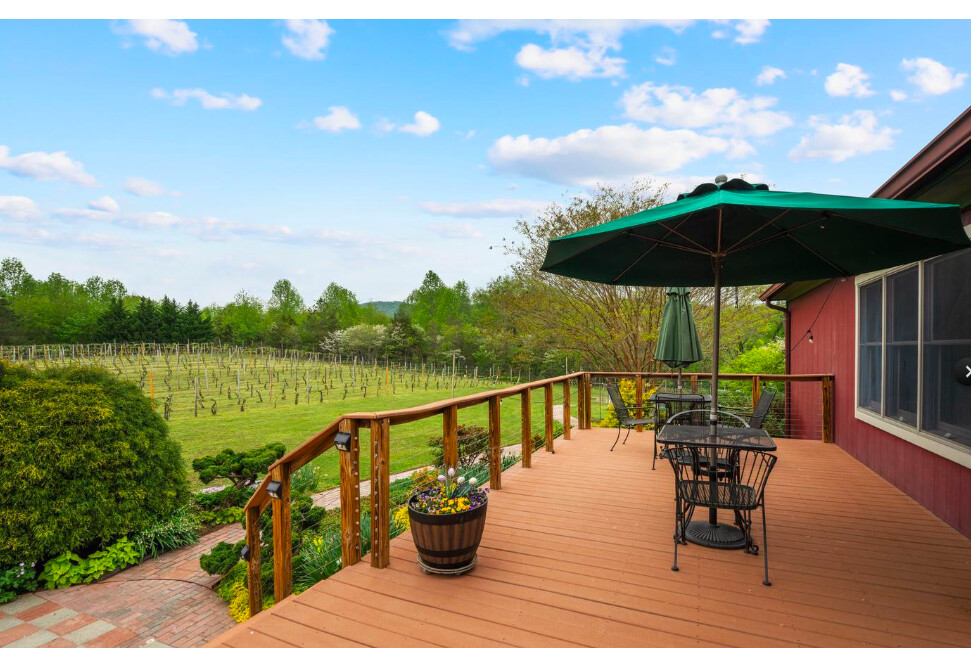 Established Winery And Estate in Rappahannock County, VA (8 of 27)