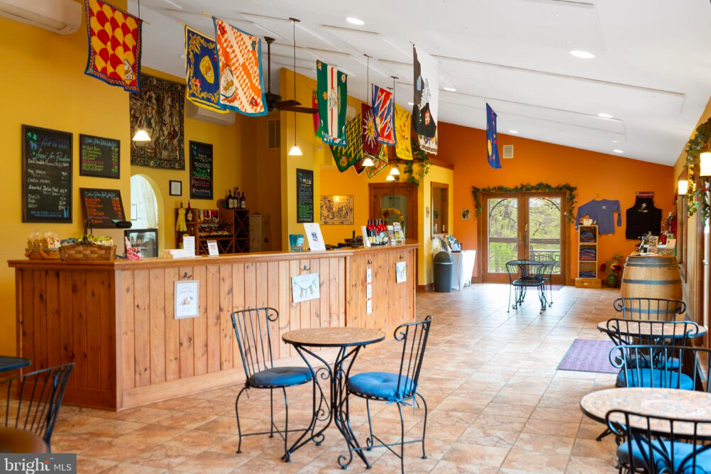 Established Winery And Estate in Rappahannock County, VA (10 of 27)