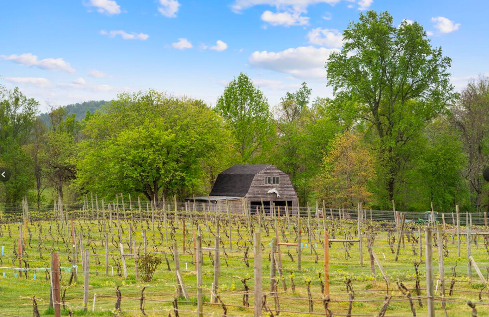 Established Winery And Estate in Rappahannock County, VA (16 of 27)