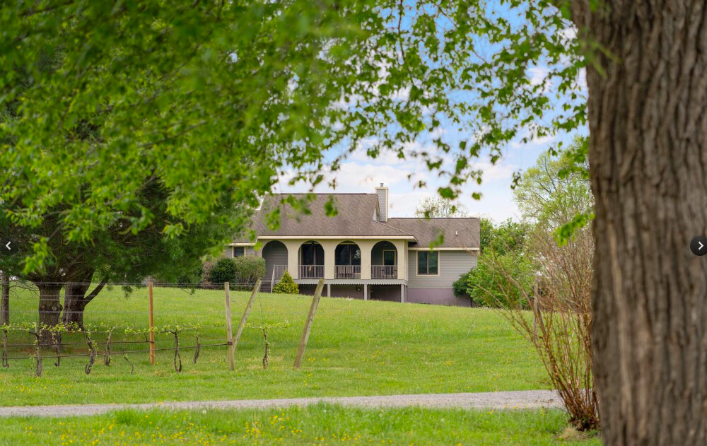 Established Winery And Estate in Rappahannock County, VA (17 of 27)