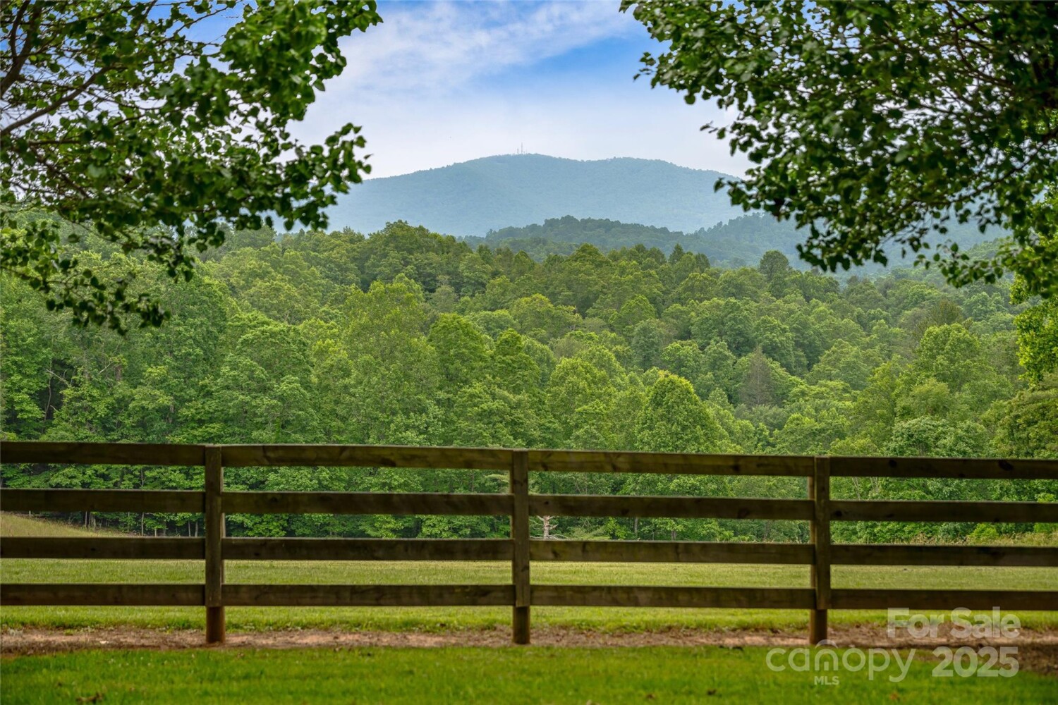 Land for Sale in Mitchell County, NC (7 of 48)