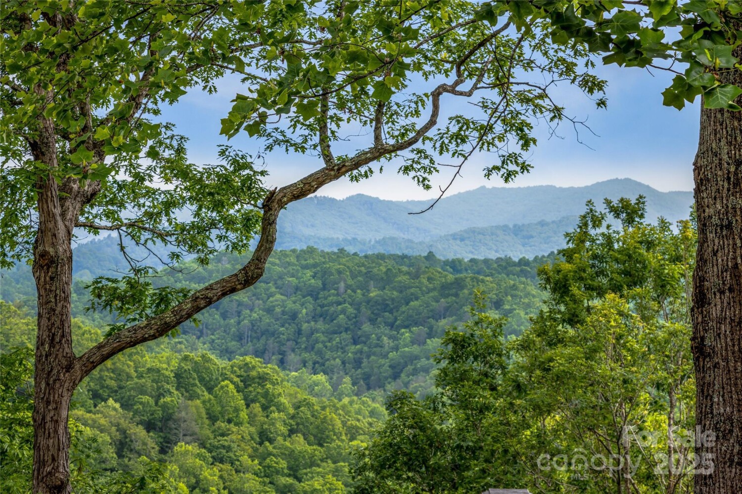 Land for Sale in Mitchell County, NC (9 of 48)