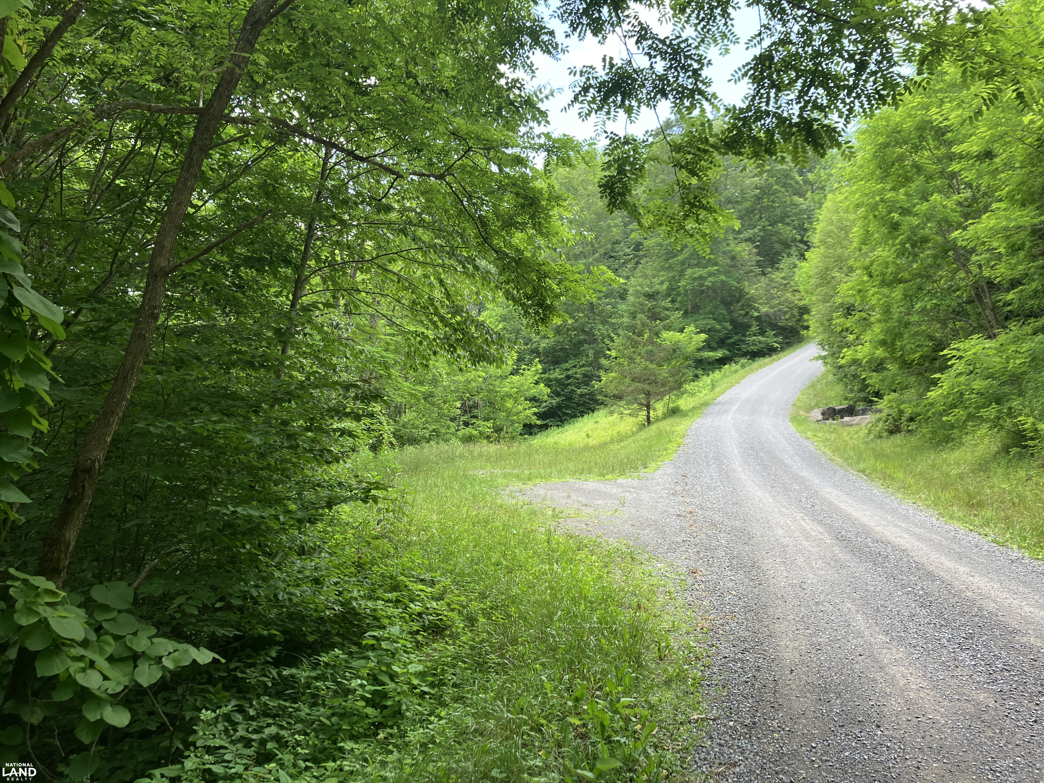 Mountain Paradise with Epic Views - 3.74 Acres in Sunset Mountain Village in Pocahontas County, WV (8 of 13)