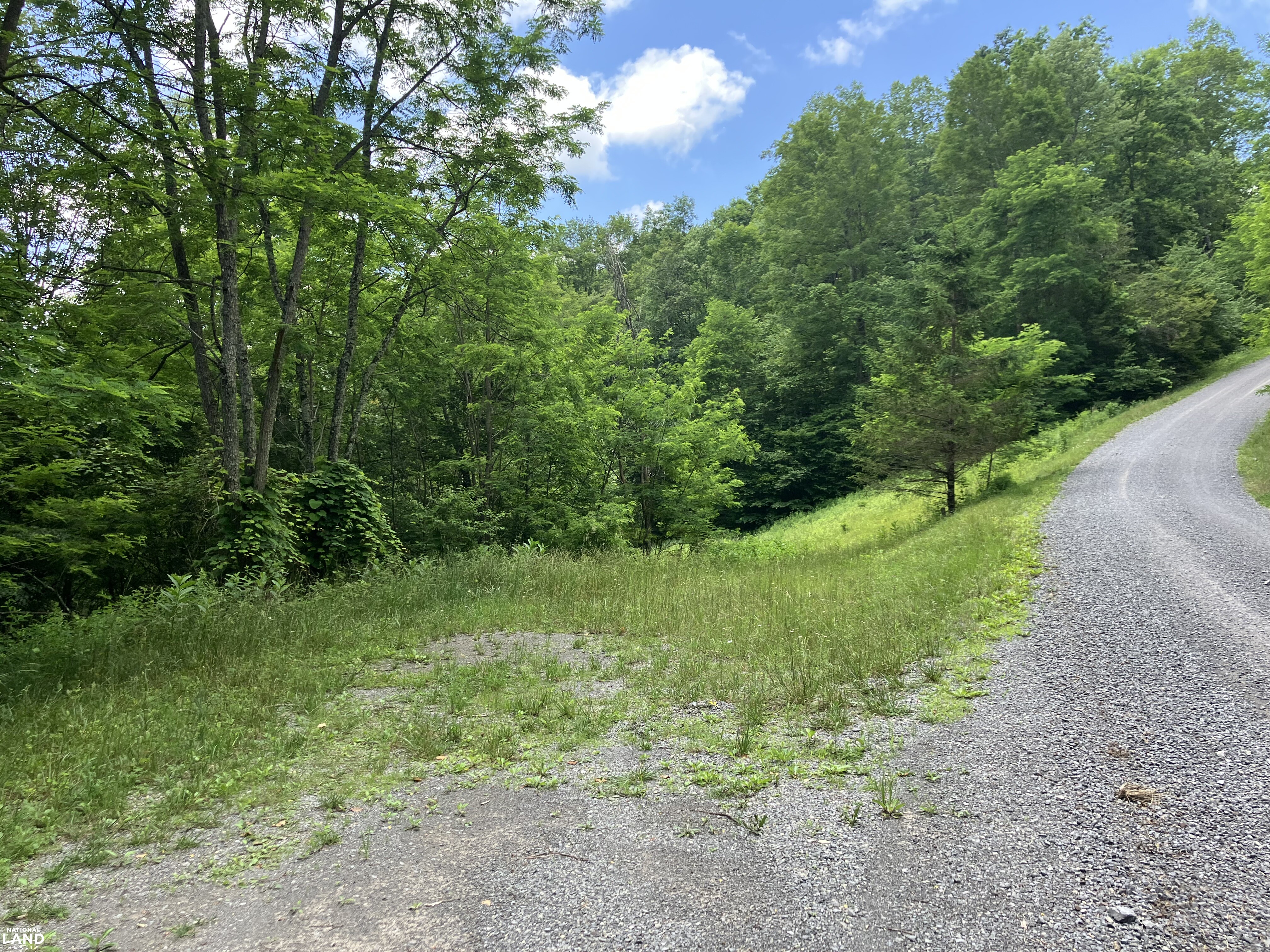 Mountain Paradise with Epic Views - 3.74 Acres in Sunset Mountain Village in Pocahontas County, WV (9 of 13)