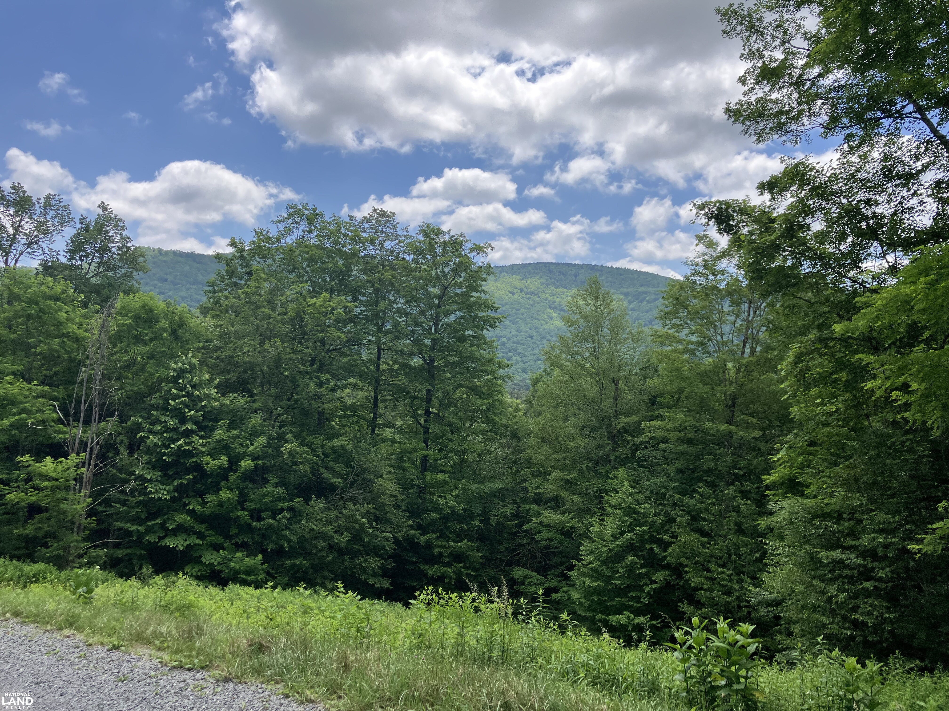 Mountain Paradise with Epic Views - 3.74 Acres in Sunset Mountain Village in Pocahontas County, WV (11 of 13)