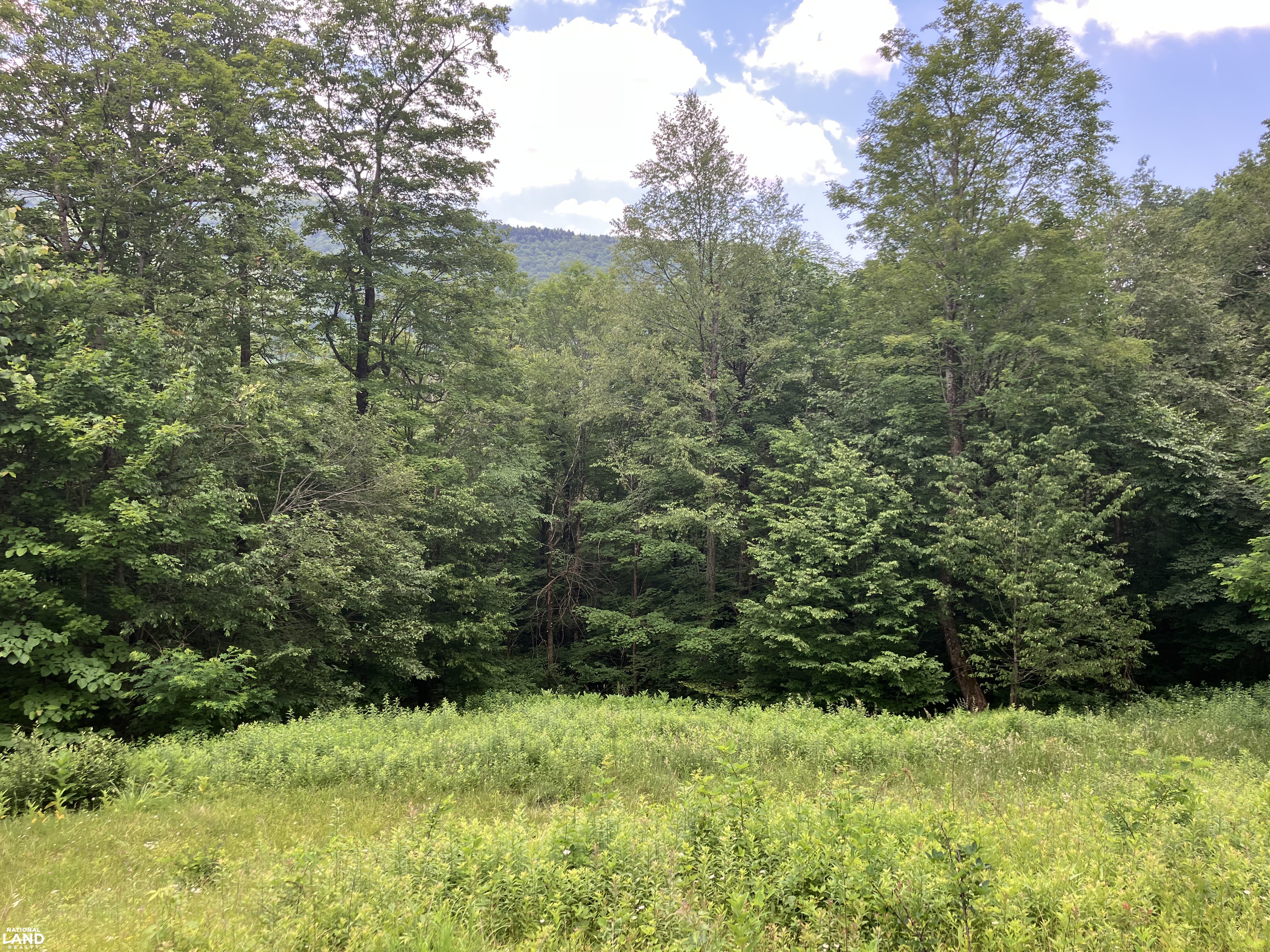 Mountain Paradise with Epic Views - 3.74 Acres in Sunset Mountain Village in Pocahontas County, WV (12 of 13)