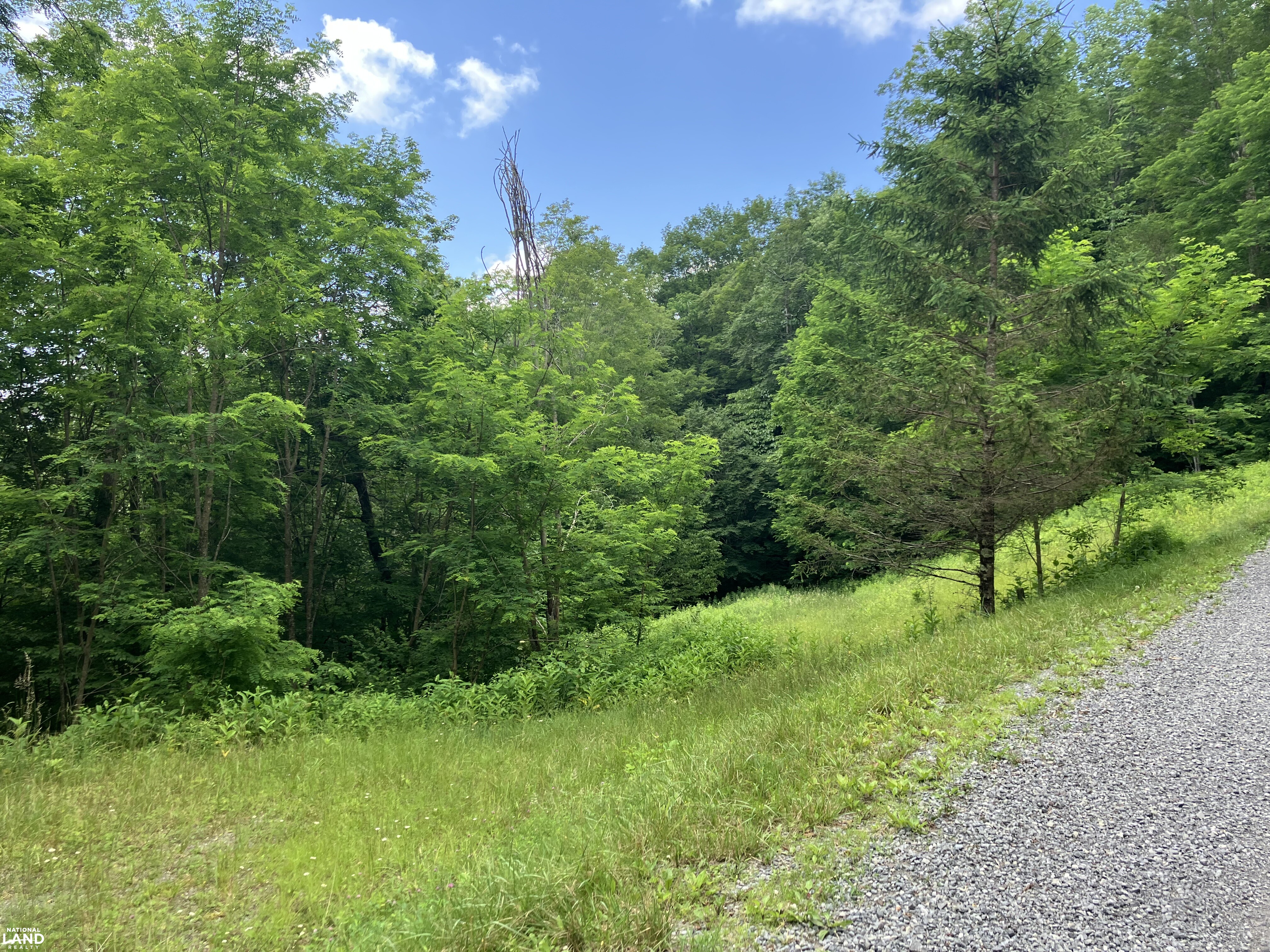 Mountain Paradise with Epic Views - 3.74 Acres in Sunset Mountain Village in Pocahontas County, WV (13 of 13)