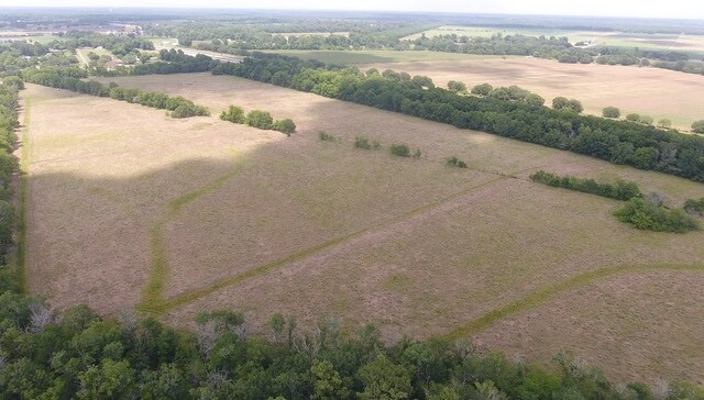 Land for Sale in Rapides Parish, LA (1 of 28)