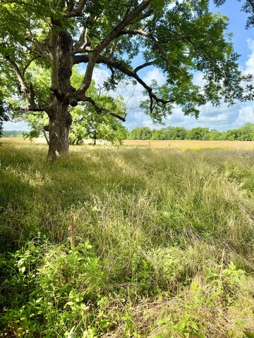 Land for Sale in Rapides Parish, LA (3 of 28)