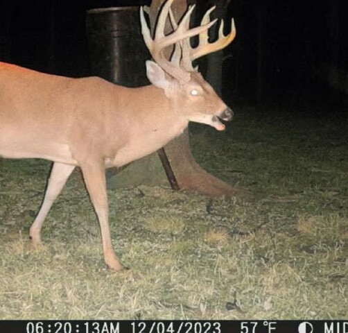 Land for Sale in Rapides Parish, LA (4 of 28)