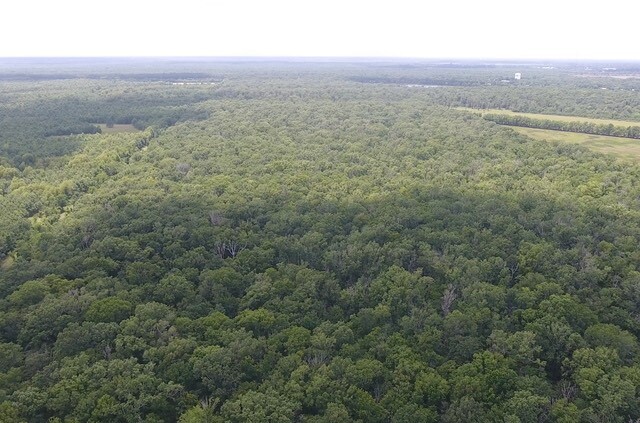 Land for Sale in Rapides Parish, LA (7 of 28)