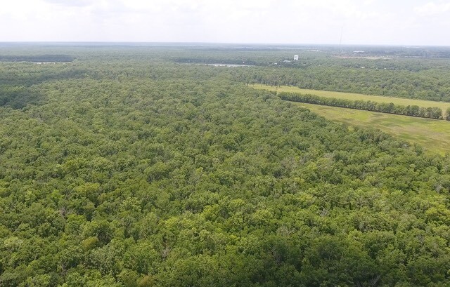 Land for Sale in Rapides Parish, LA (10 of 28)